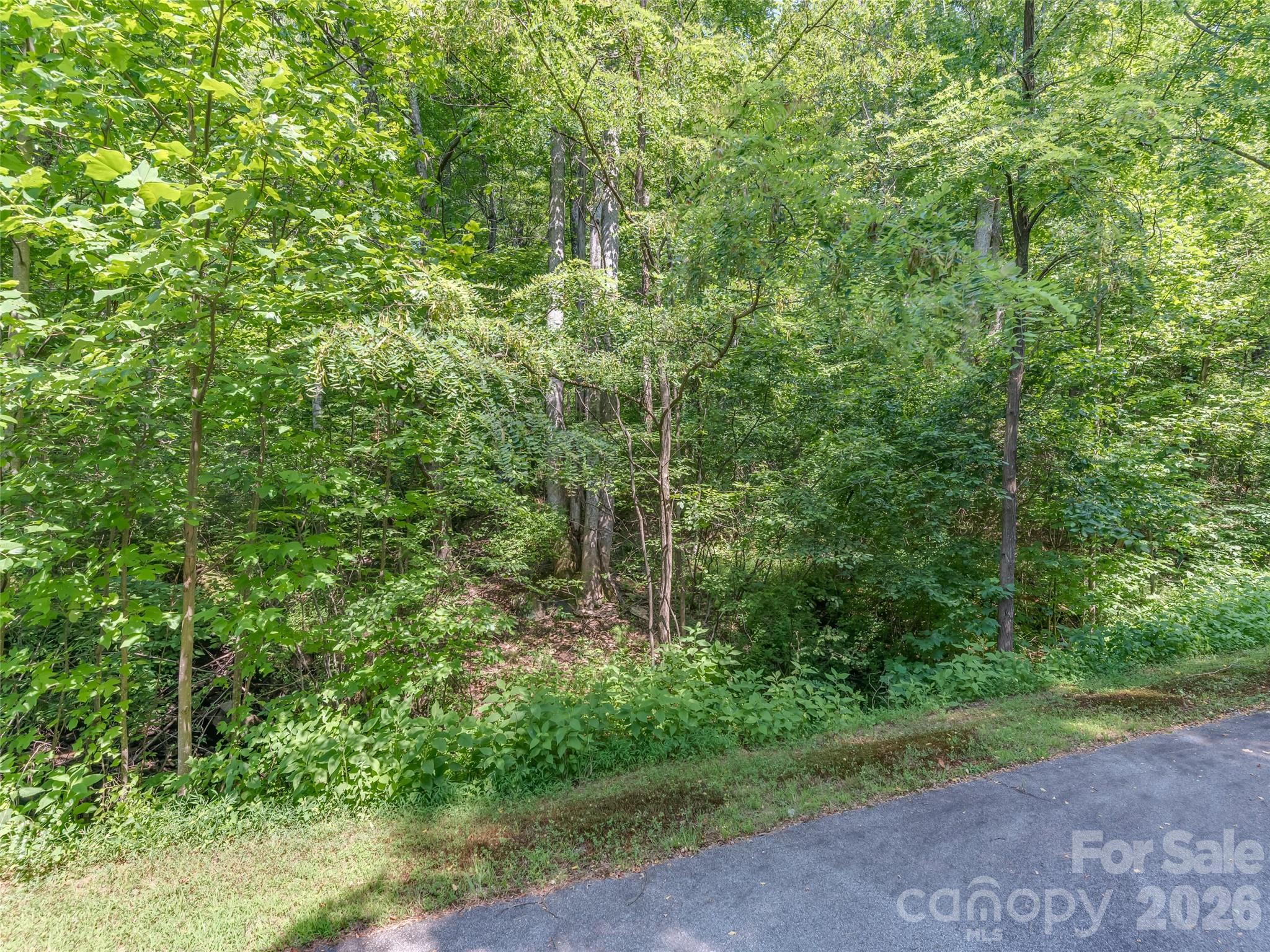 Lot 231 Chesterfield Drive Mill Spring NC 28756