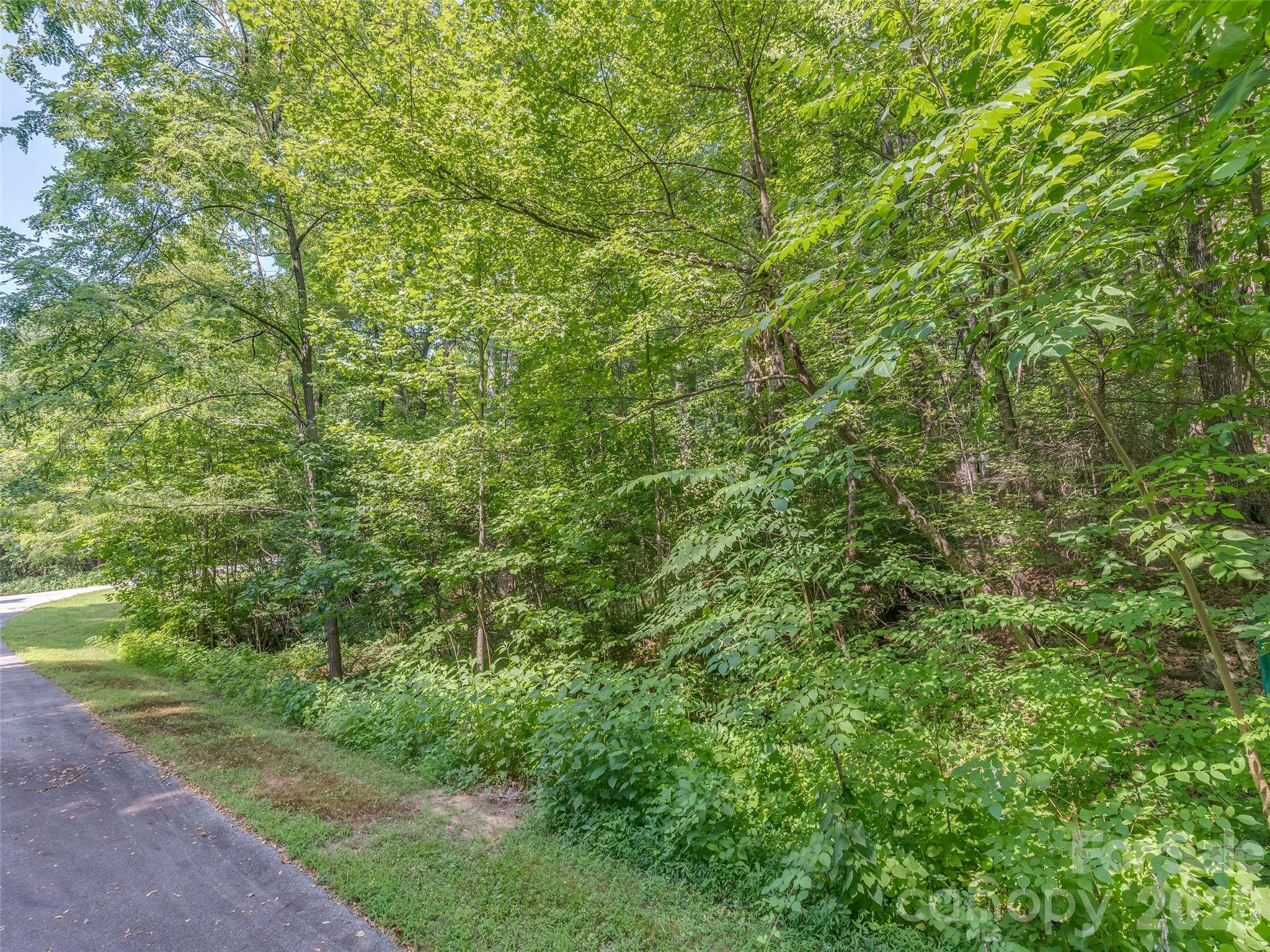 Lot 231 Chesterfield Drive Mill Spring NC 28756