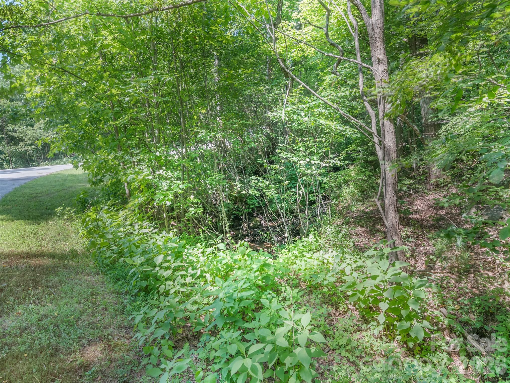 Lot 231 Chesterfield Drive Mill Spring NC 28756