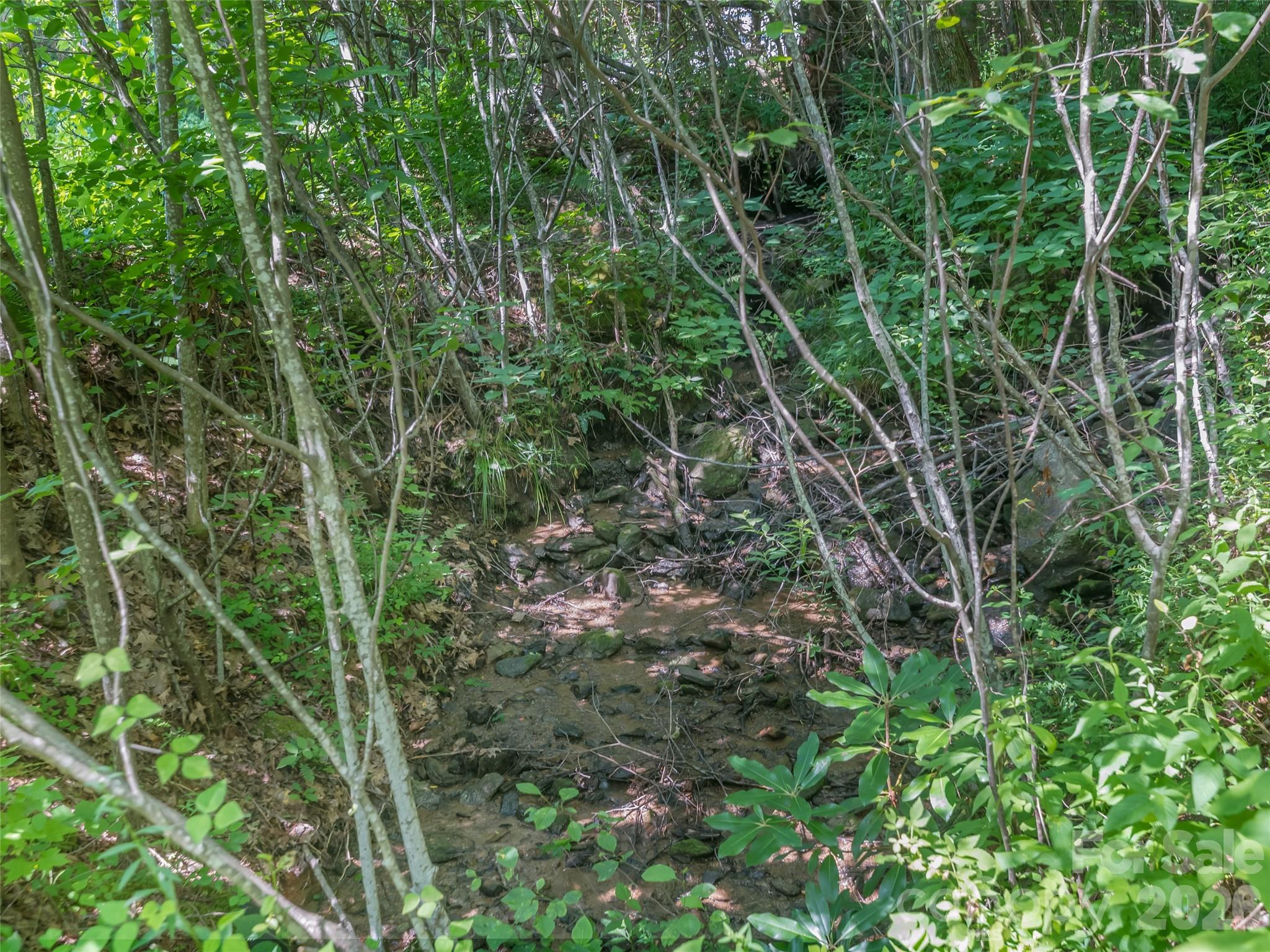 Lot 231 Chesterfield Drive Mill Spring NC 28756