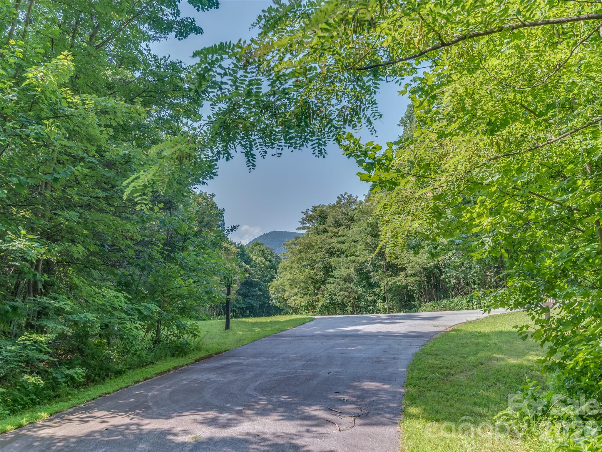 Lot 231 Chesterfield Drive Mill Spring NC 28756