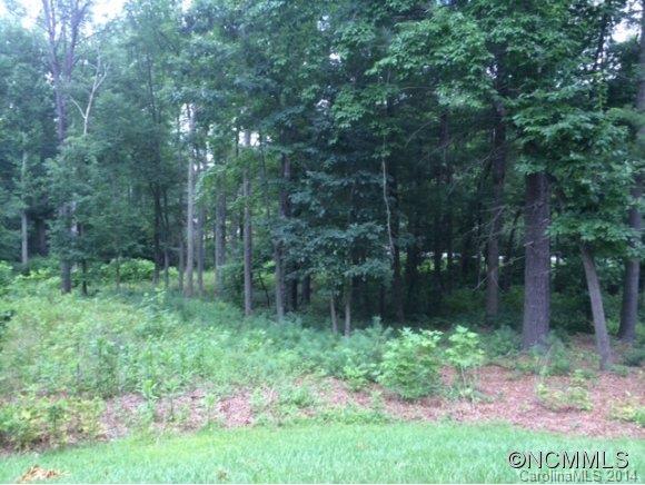 90 Running Creek Trail Arden NC 28704