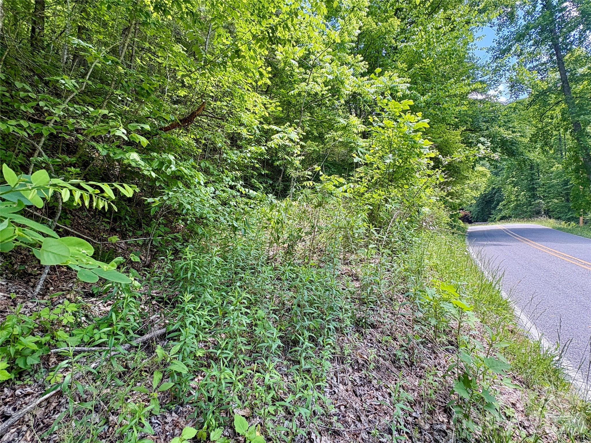 0 Alarka Road Bryson City NC 28713