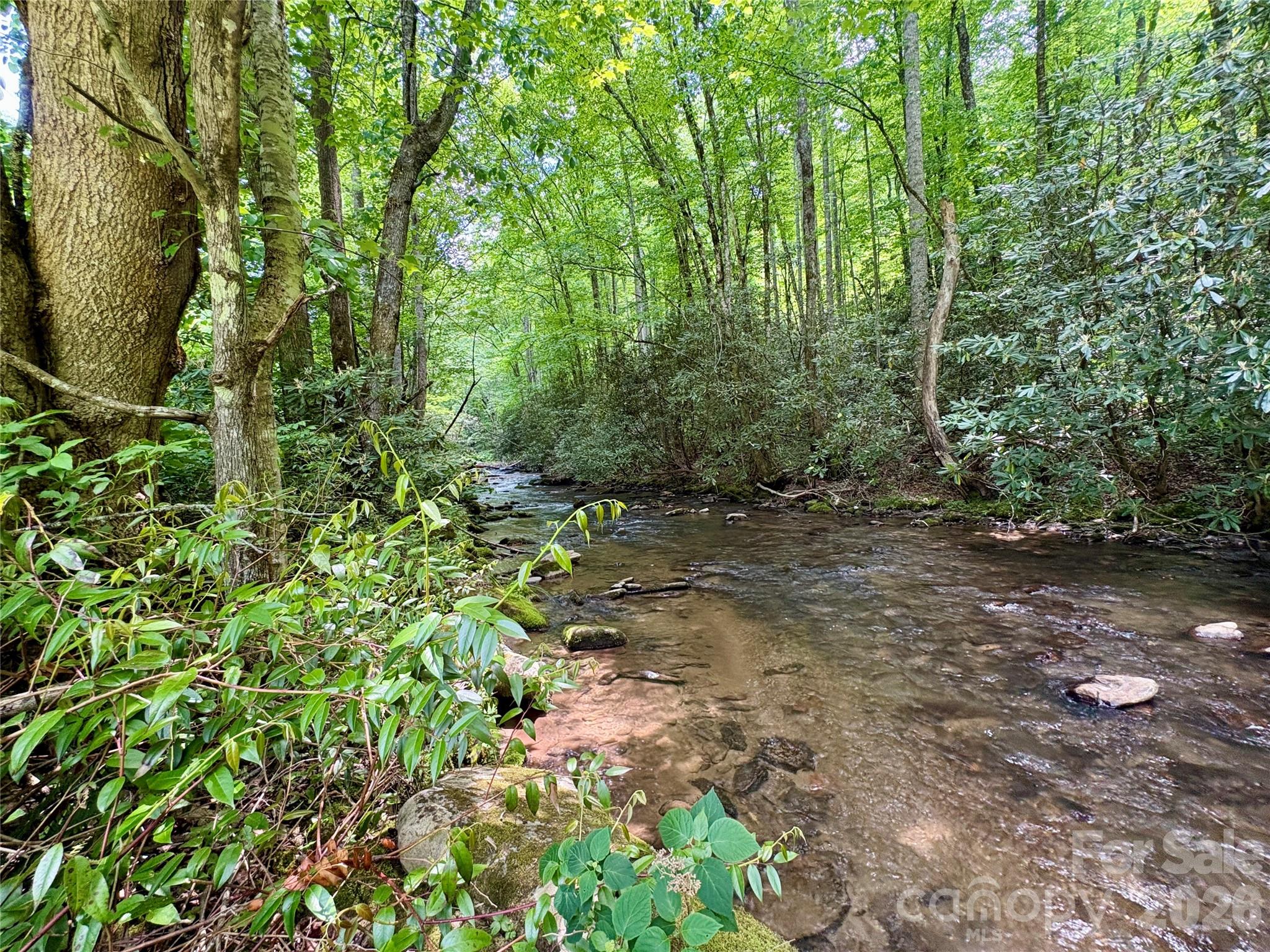 0 Alarka Road Bryson City NC 28713