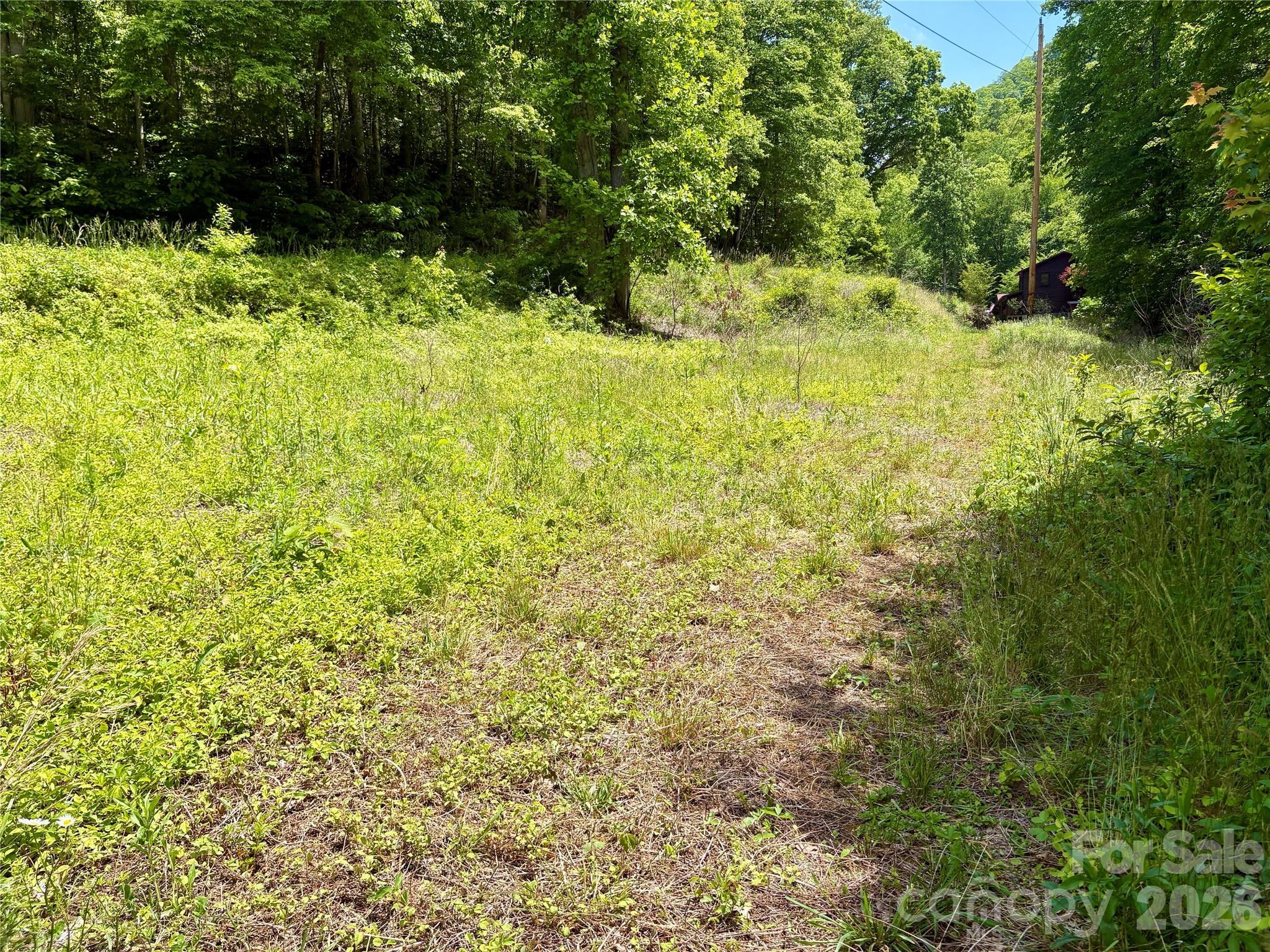 0 Alarka Road Bryson City NC 28713