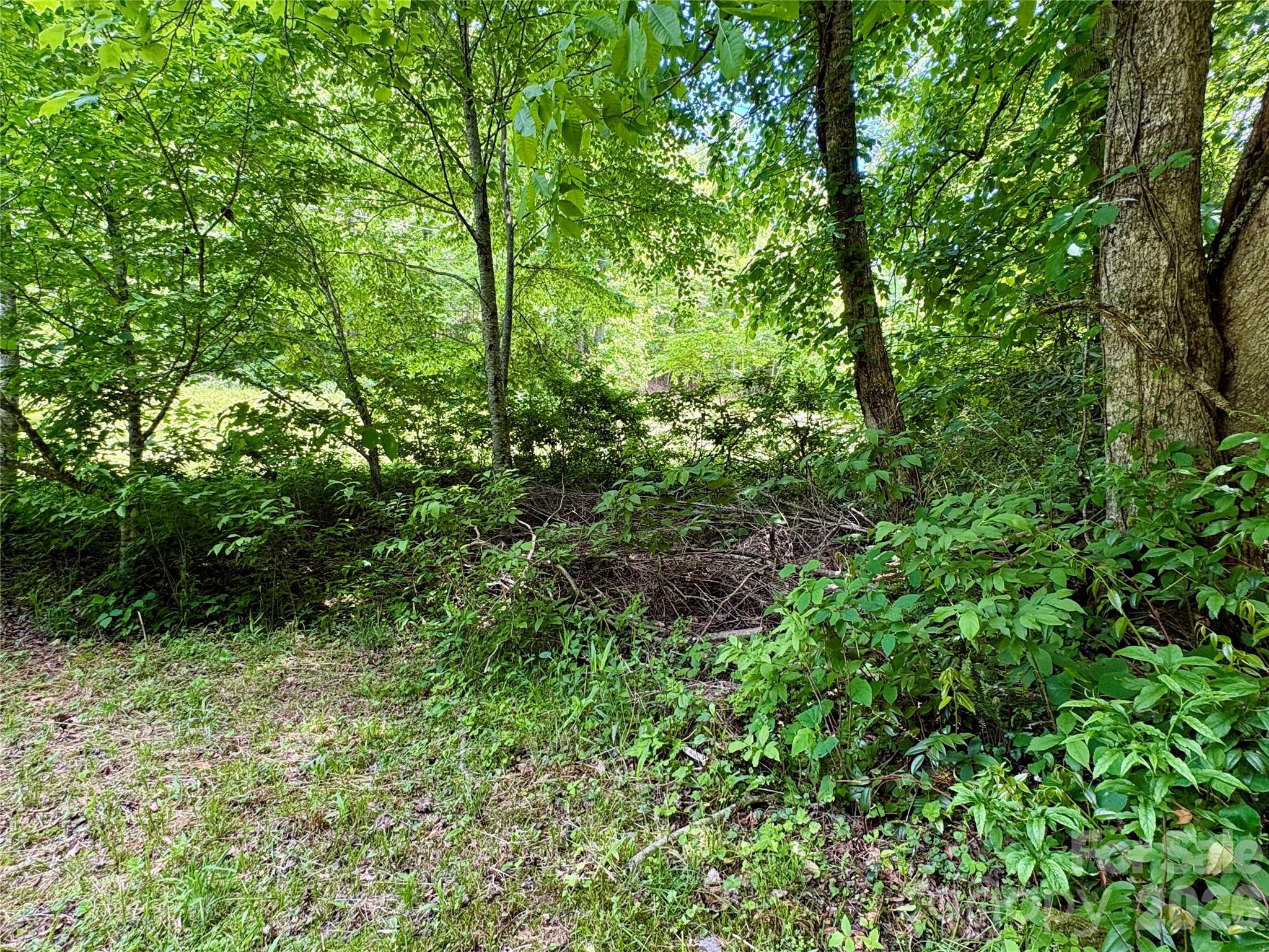 0 Alarka Road Bryson City NC 28713