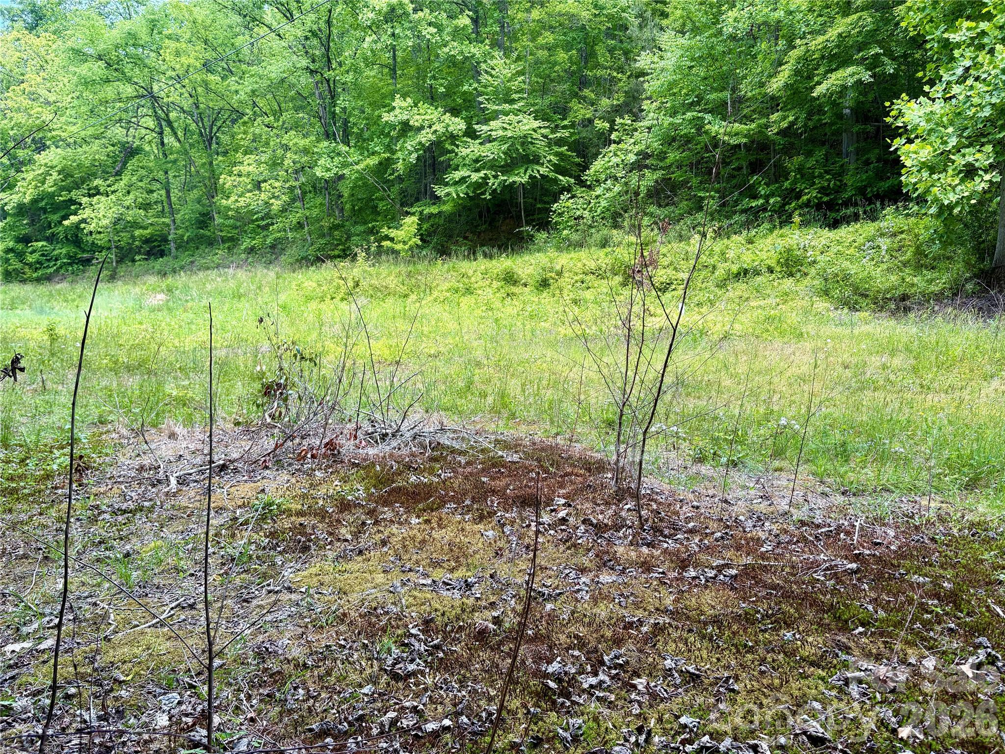0 Alarka Road Bryson City NC 28713