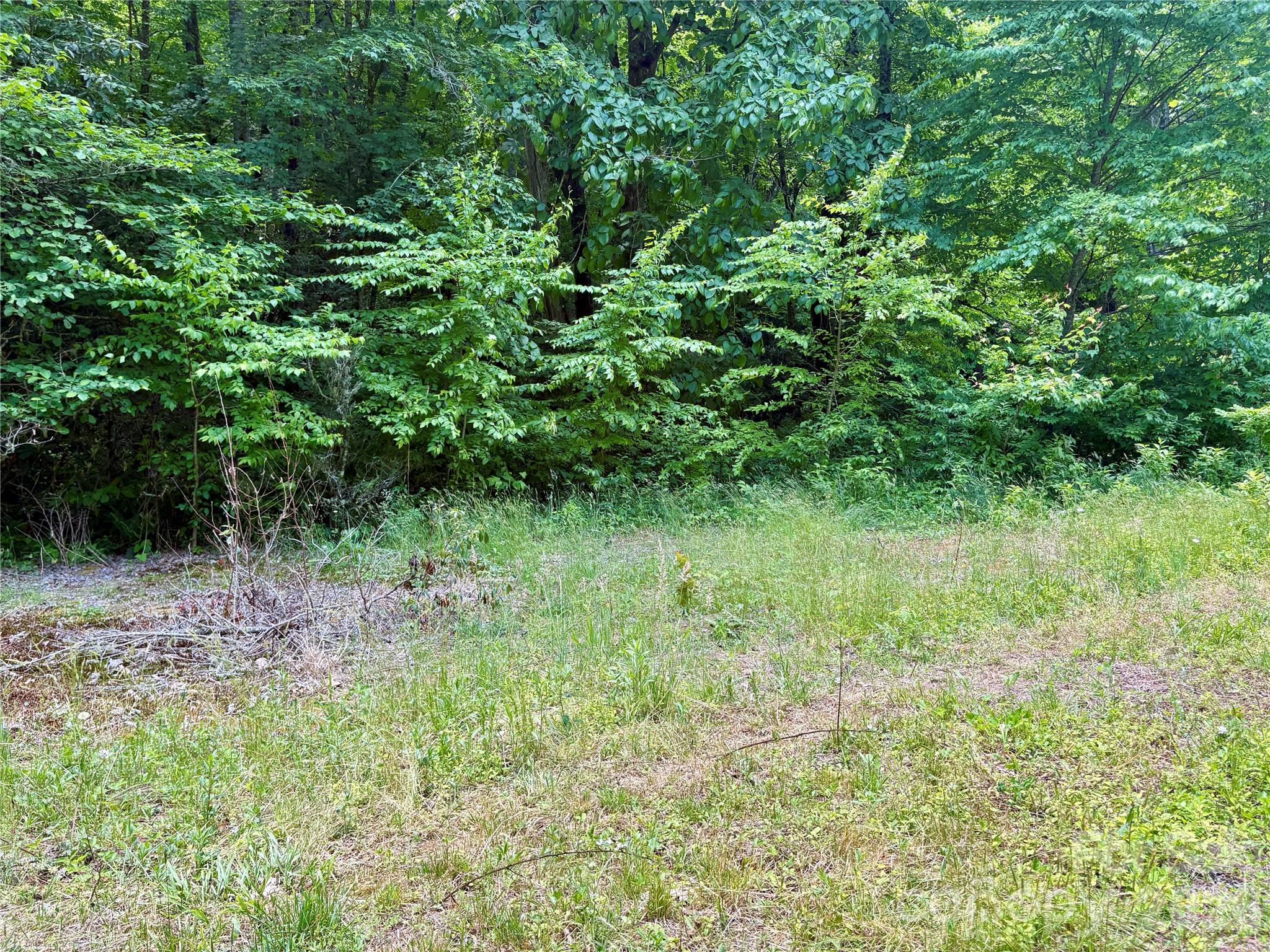 0 Alarka Road Bryson City NC 28713