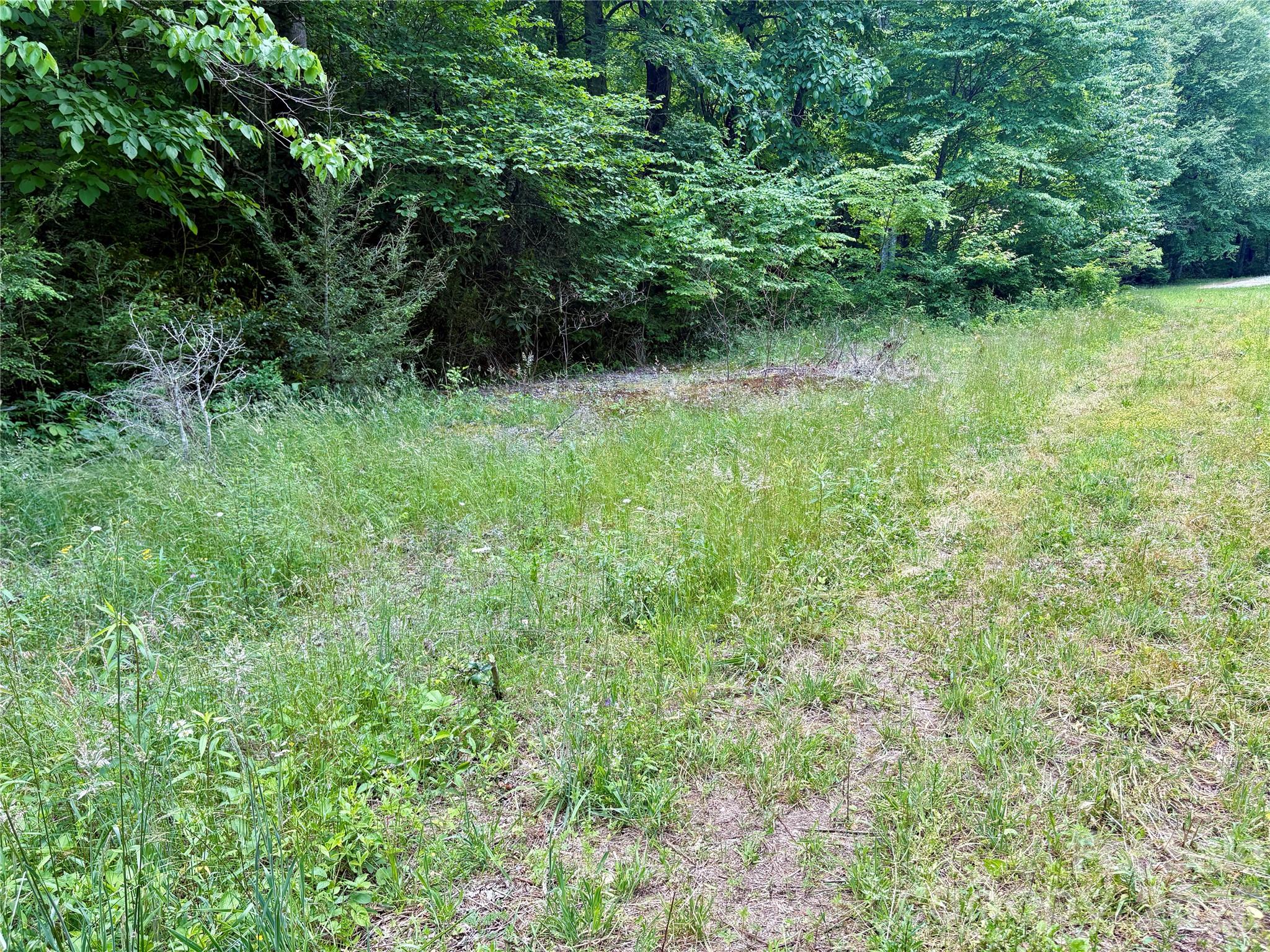 0 Alarka Road Bryson City NC 28713