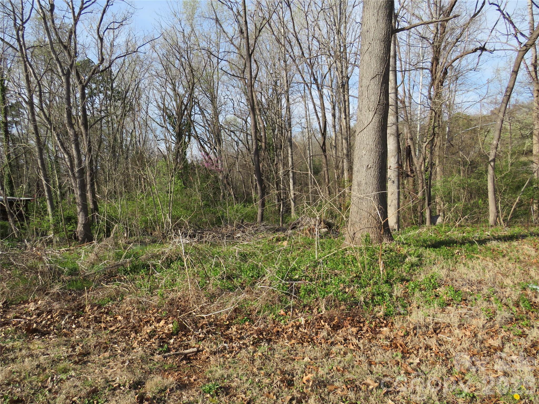 0 Virgina Street Spindale NC 28160