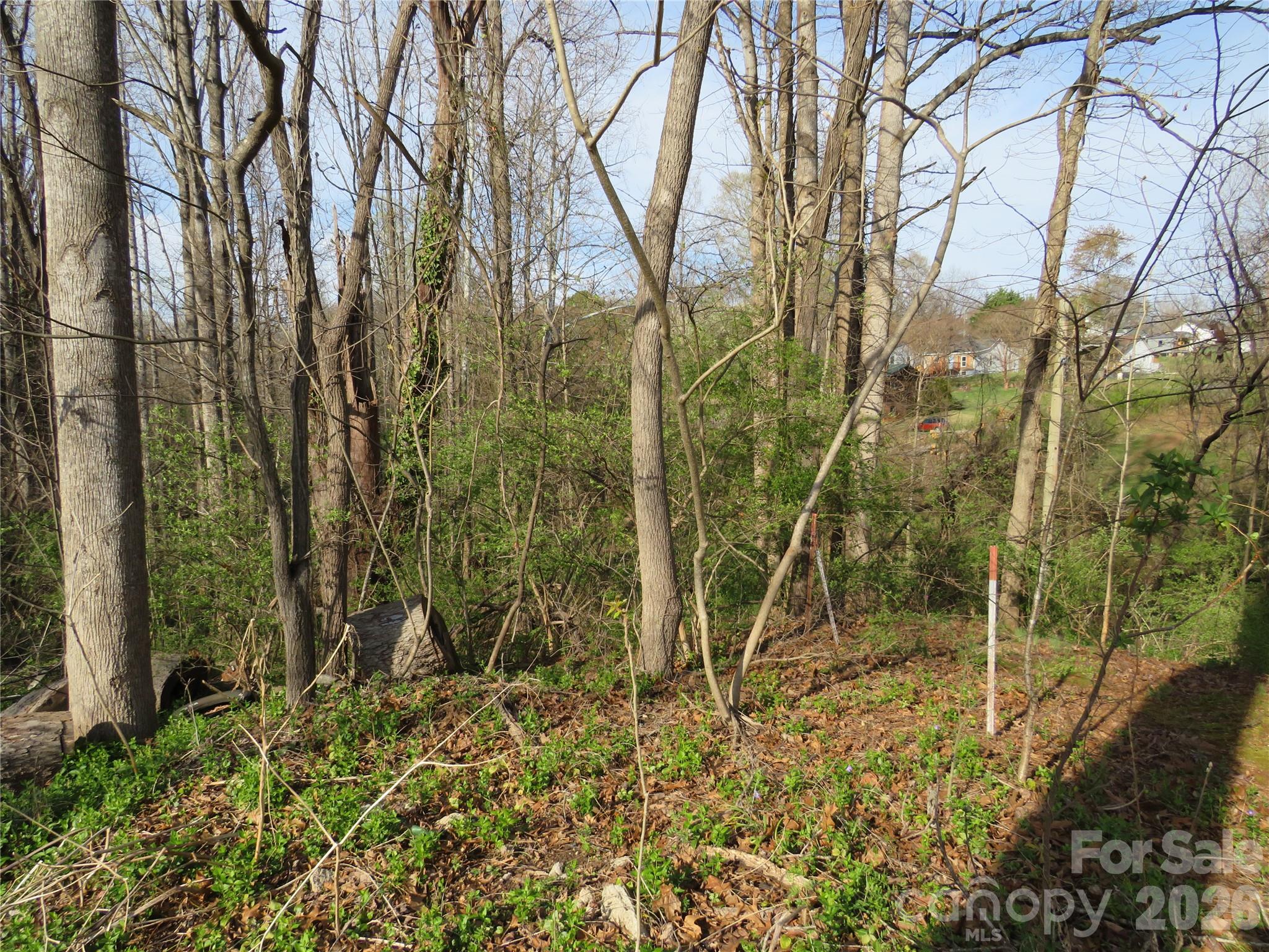 0 Virgina Street Spindale NC 28160