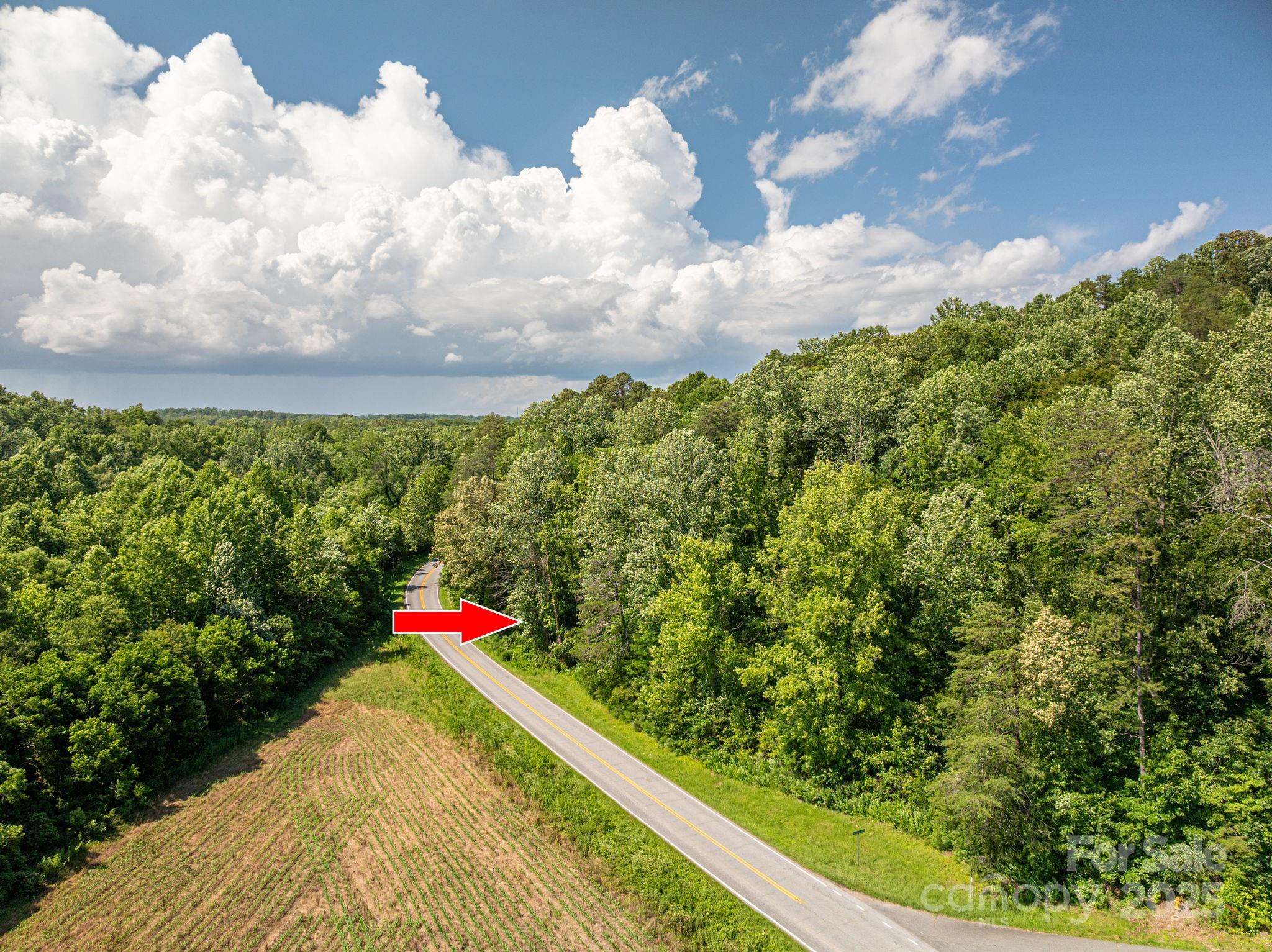 Lot 161 Coxe Road Rutherfordton NC 28139