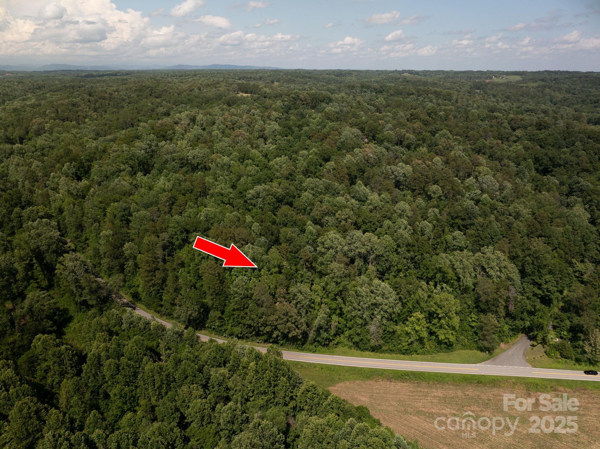 Lot 161 Coxe Road Rutherfordton NC 28139