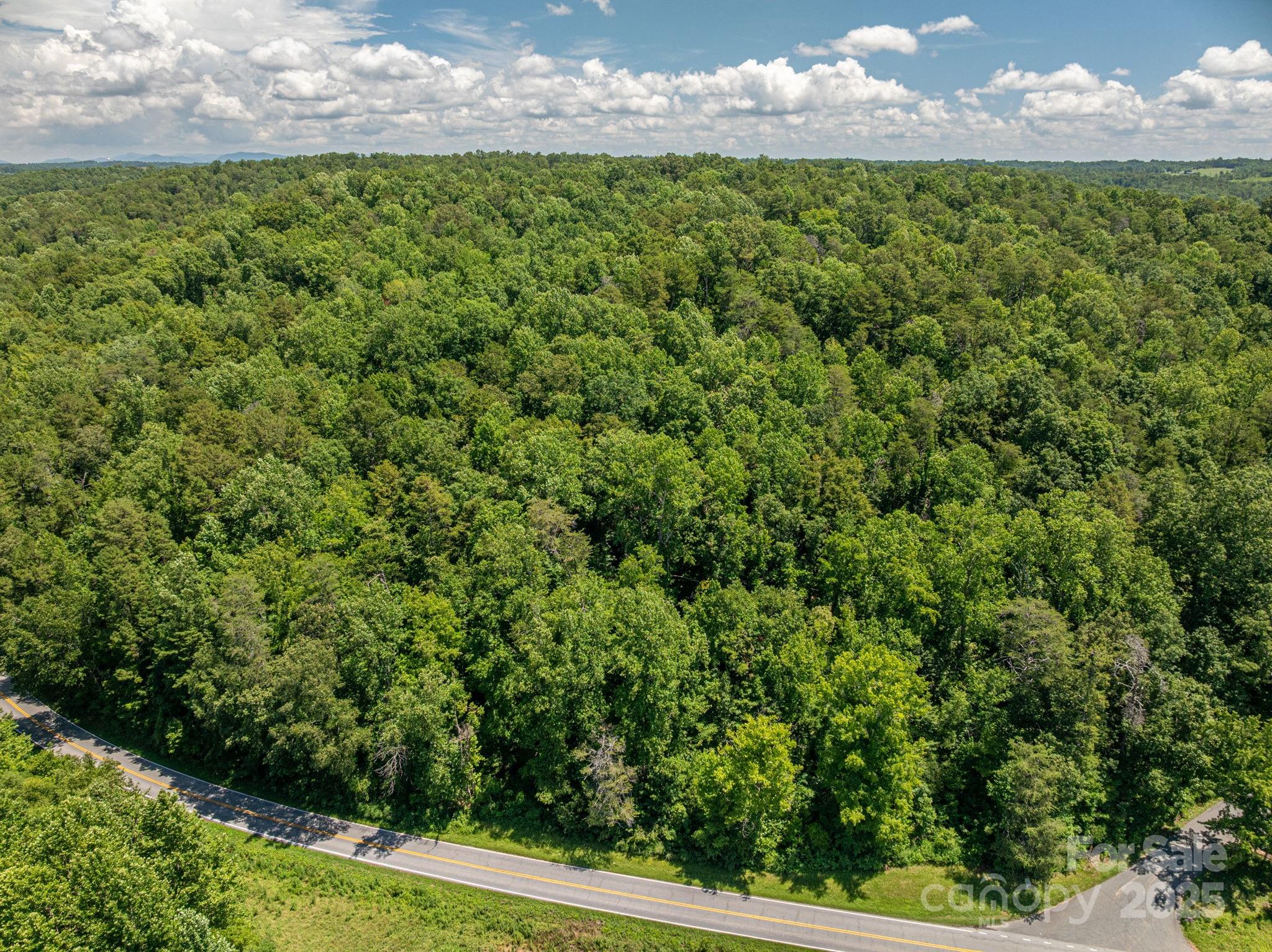 Lot 161 Coxe Road Rutherfordton NC 28139