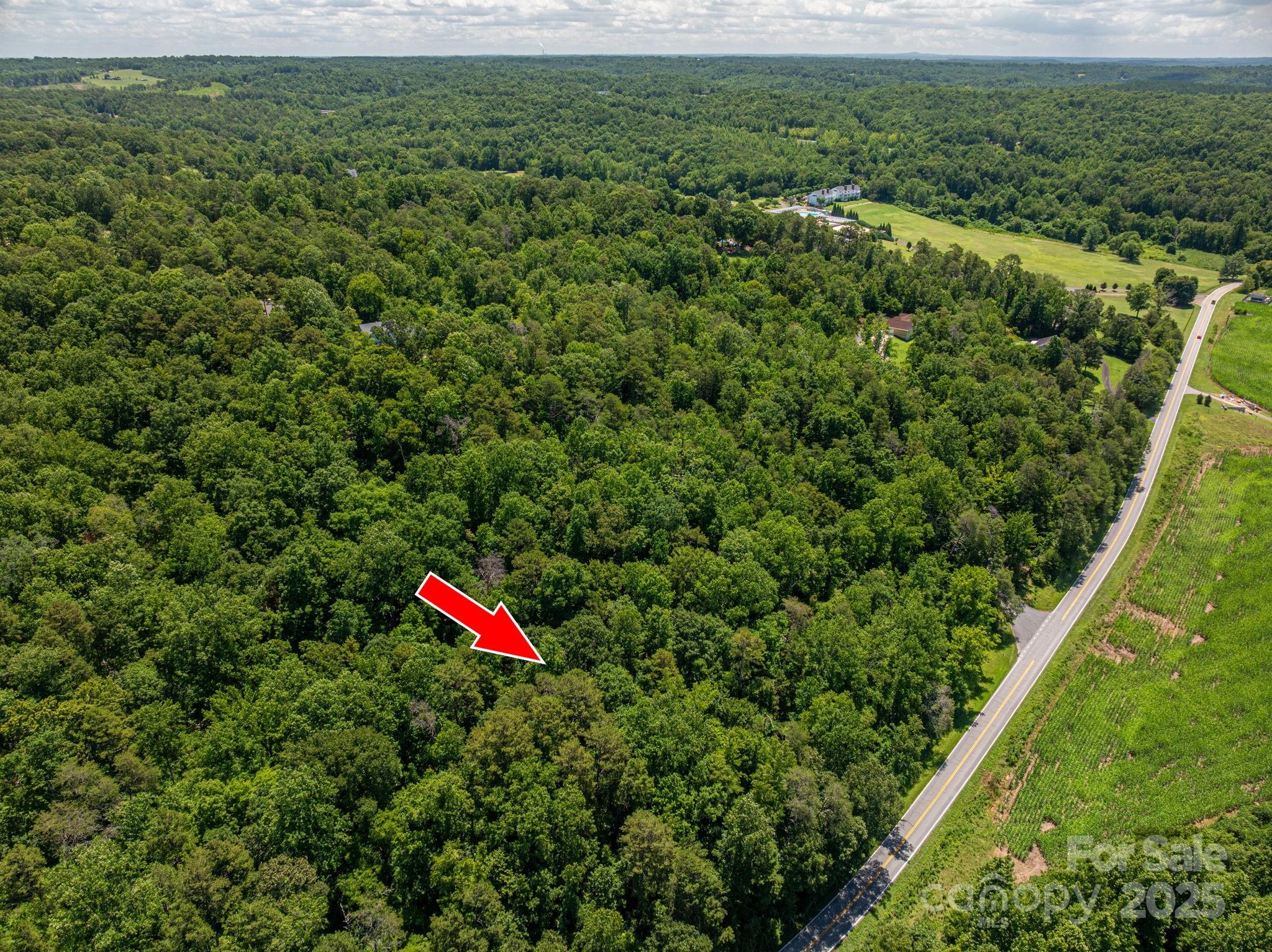 Lot 161 Coxe Road Rutherfordton NC 28139