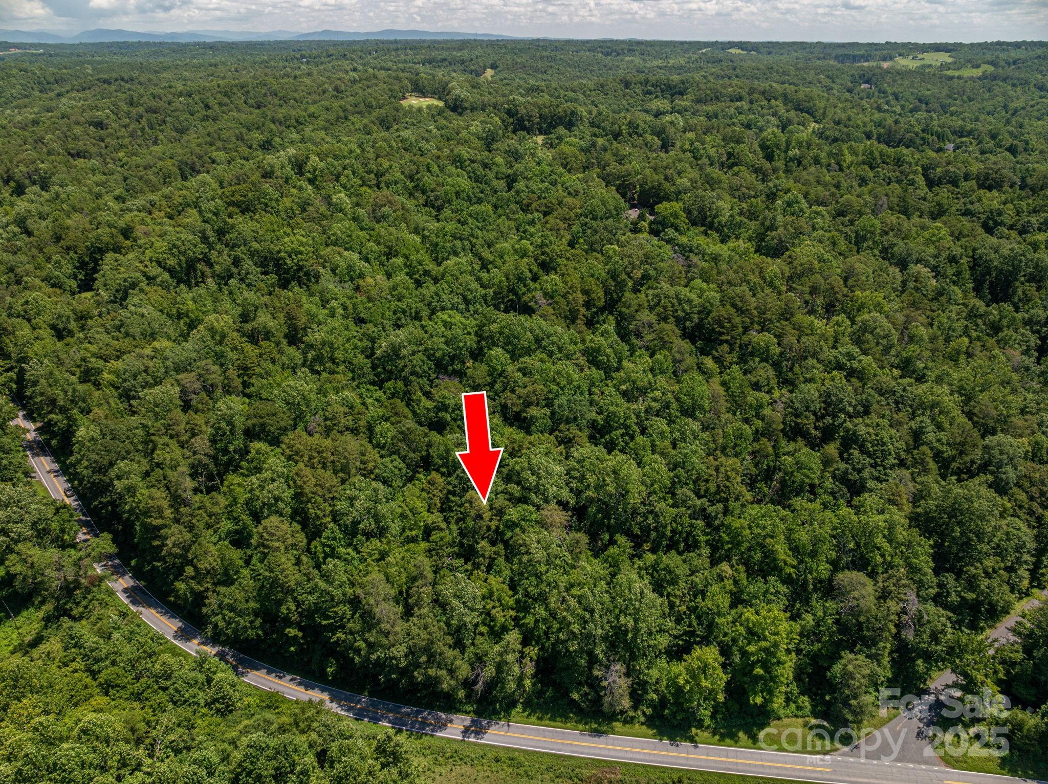 Lot 161 Coxe Road Rutherfordton NC 28139