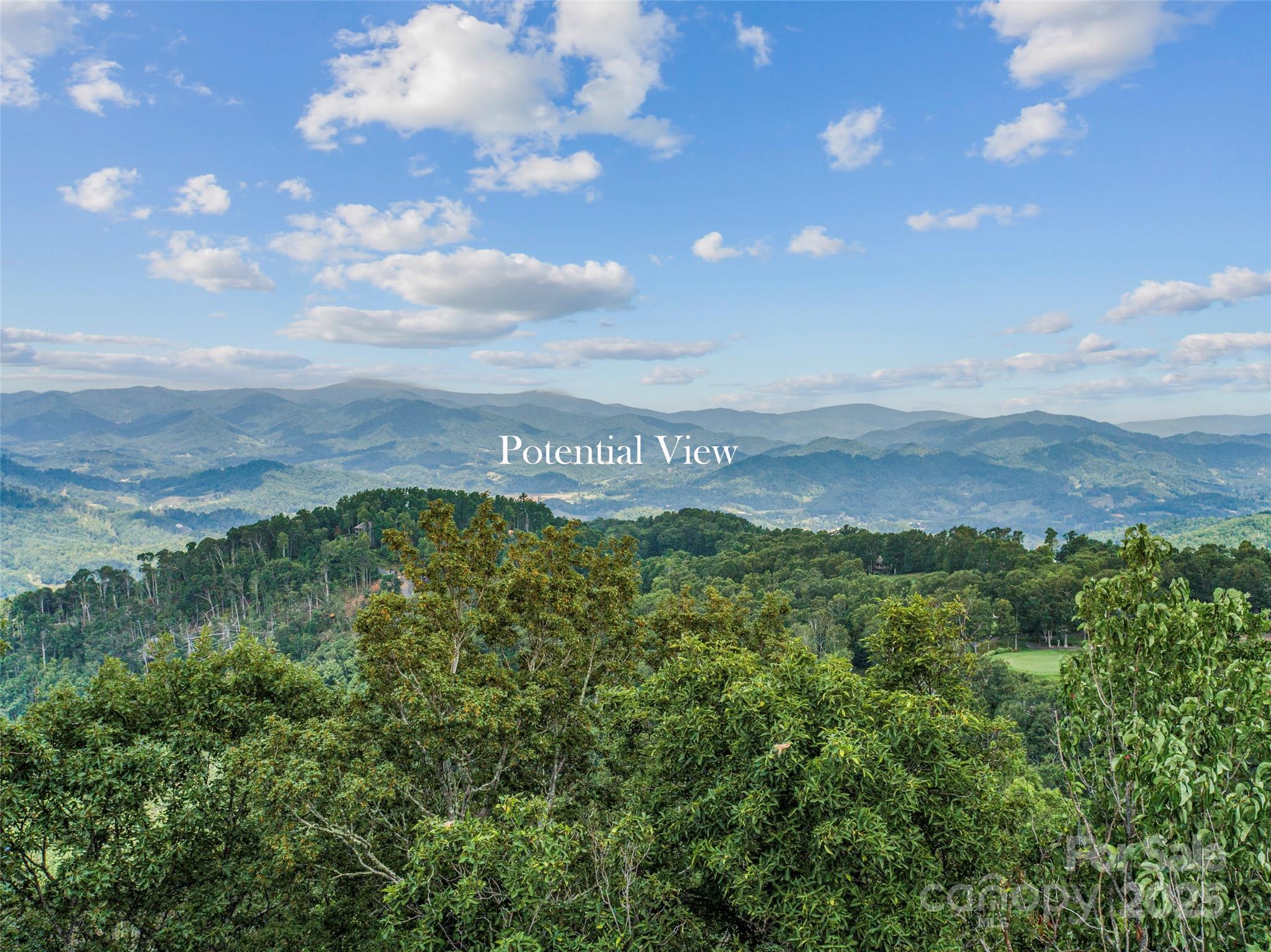 Lot 84 Ridgepoint View Burnsville NC 28714
