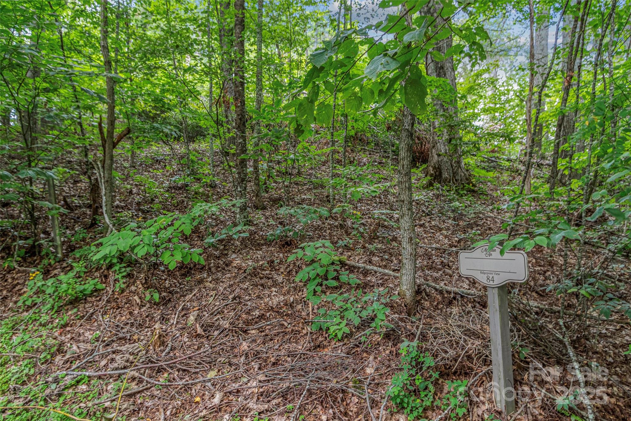 Lot 84 Ridgepoint View Burnsville NC 28714