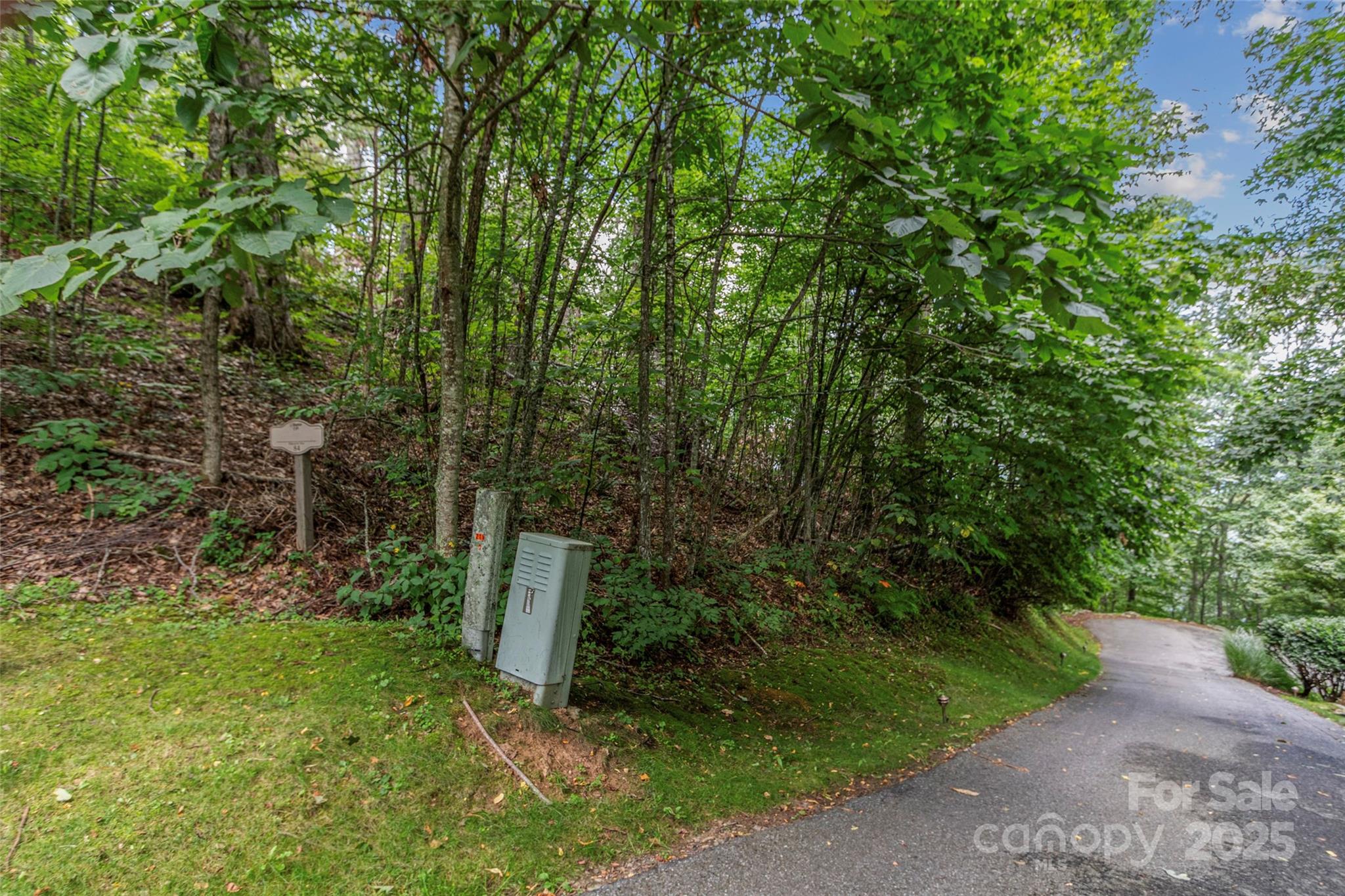 Lot 84 Ridgepoint View Burnsville NC 28714
