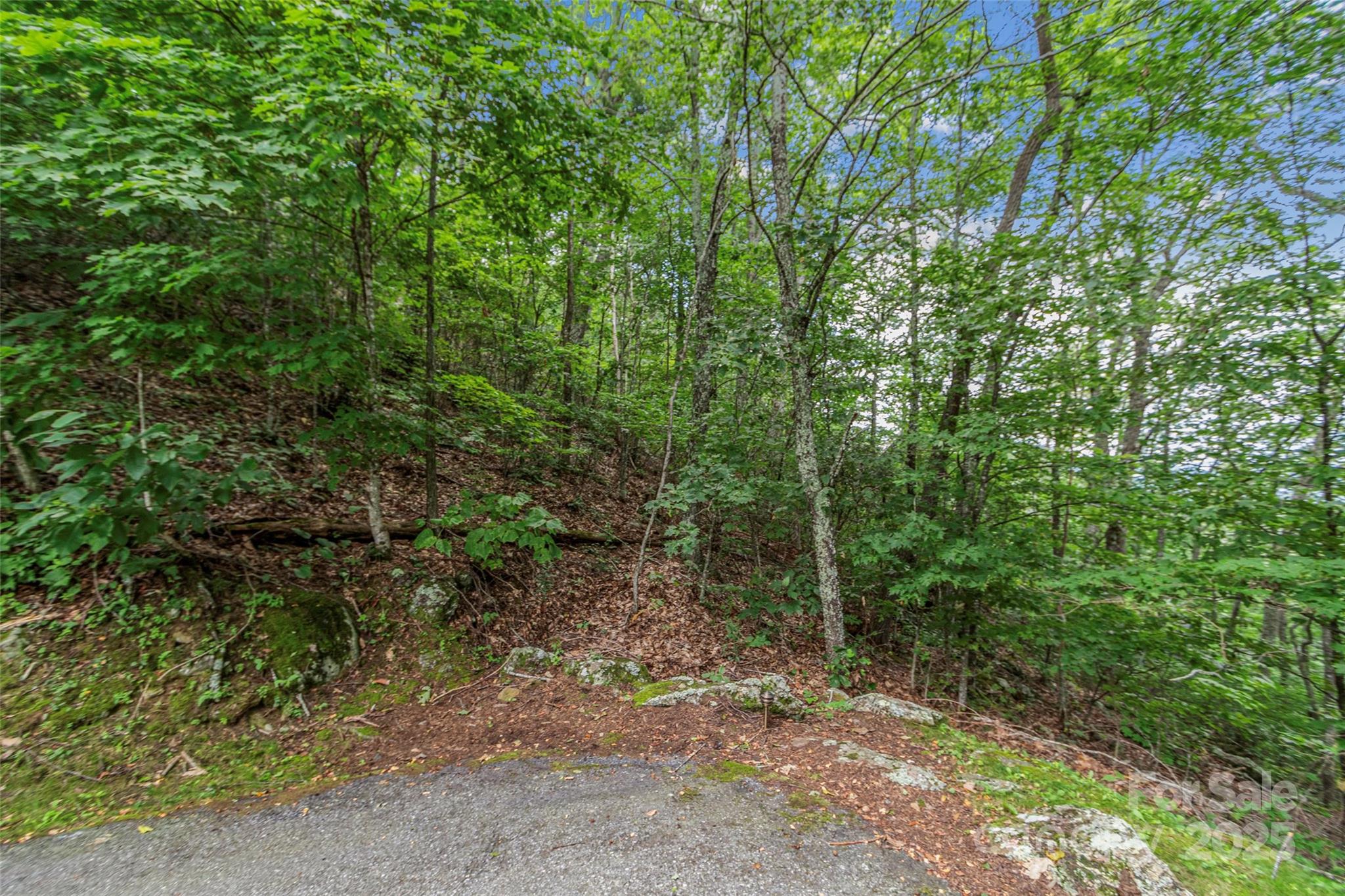 Lot 84 Ridgepoint View Burnsville NC 28714