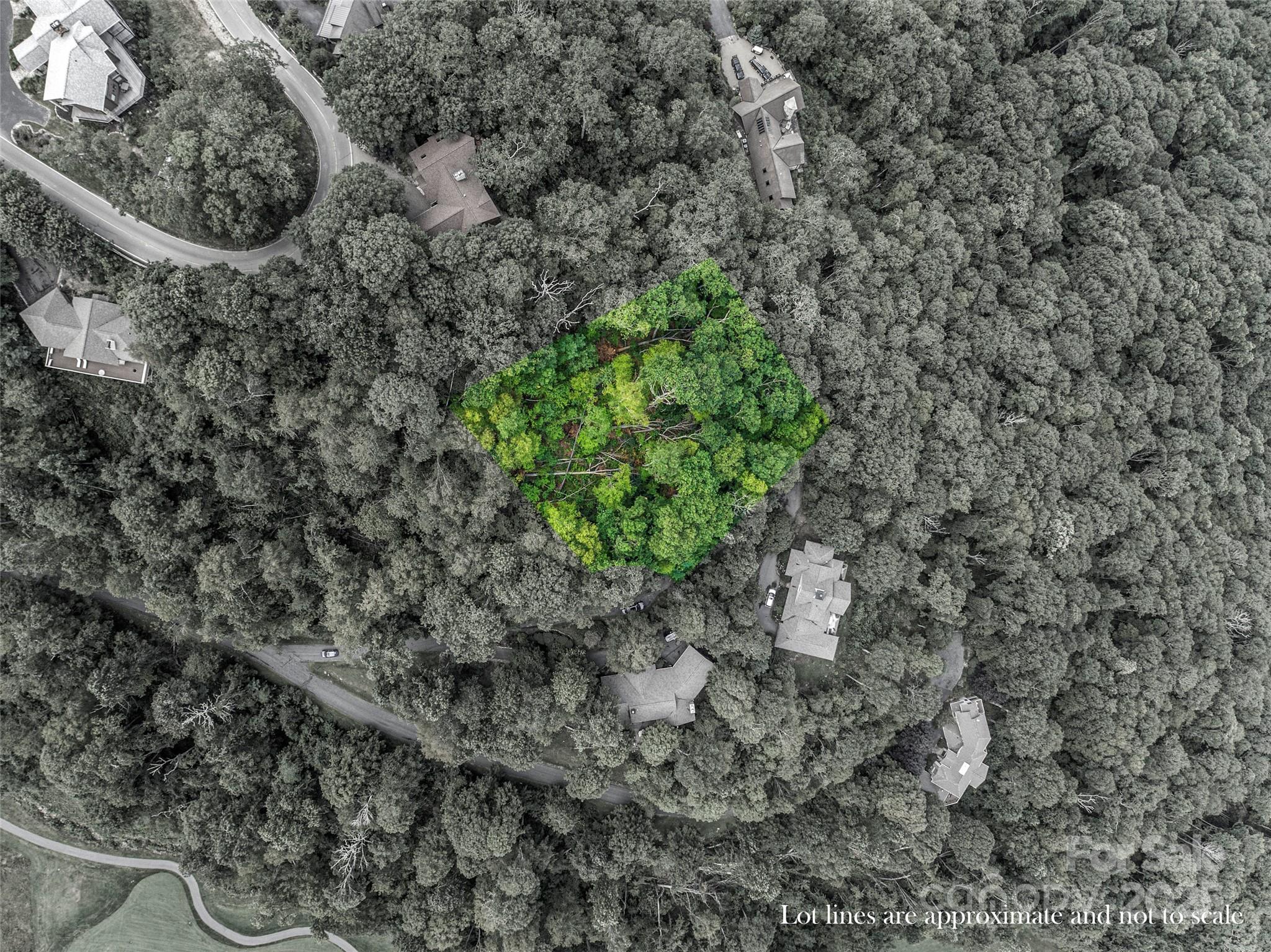 Lot 84 Ridgepoint View Burnsville NC 28714
