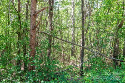 Lot #13 Meadow Crossing Drive Rutherfordton NC 28139