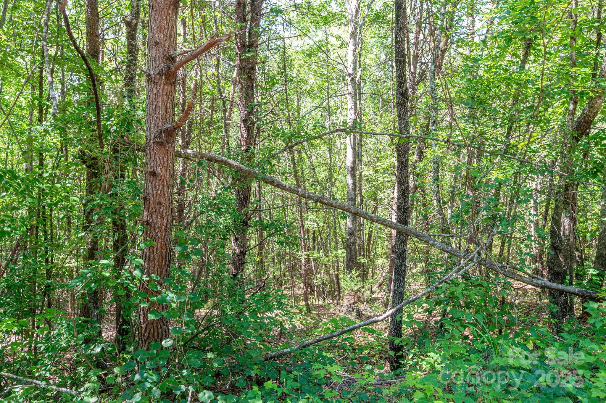 Lot #13 Meadow Crossing Drive Rutherfordton NC 28139