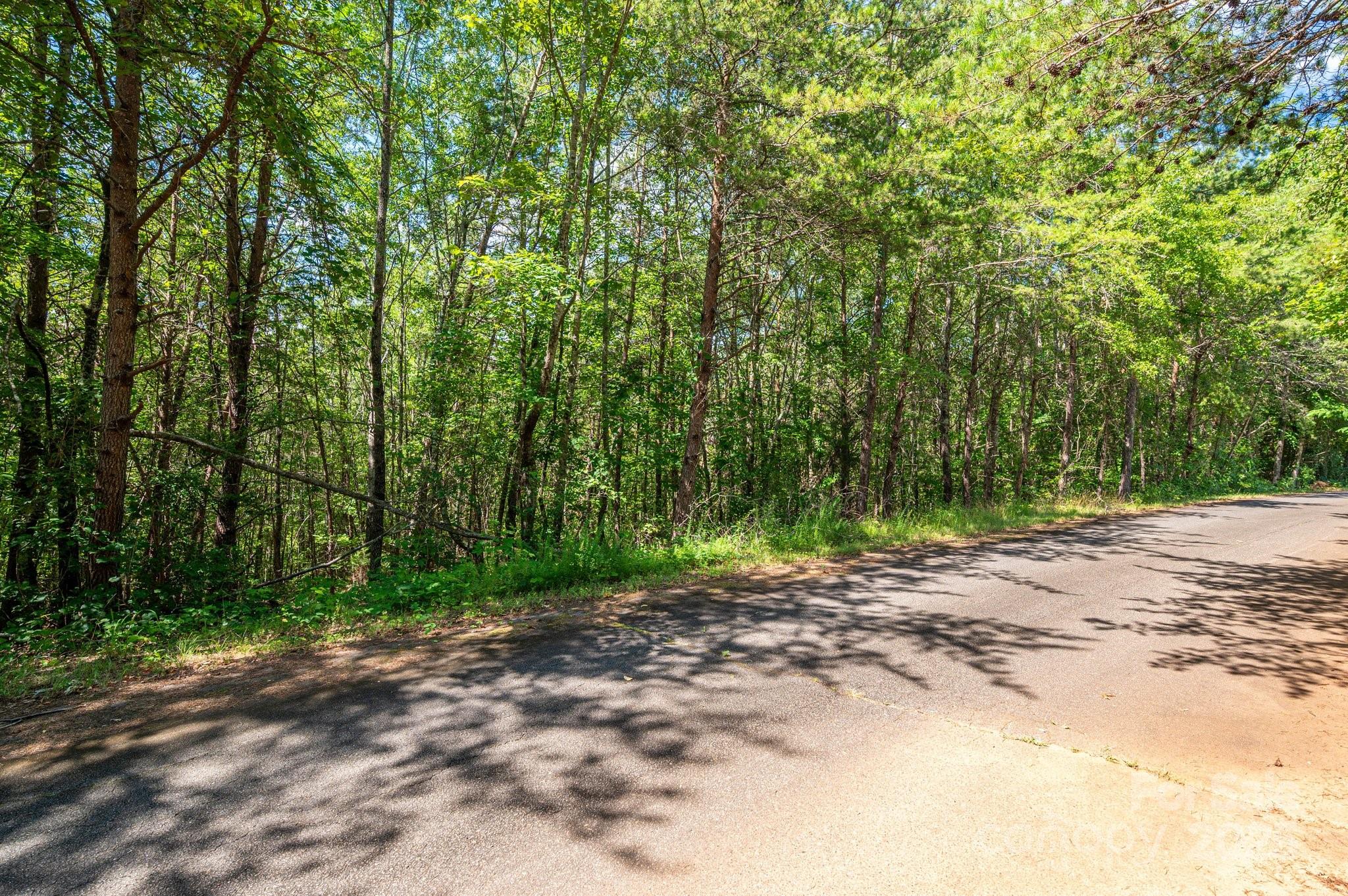 Lot #13 Meadow Crossing Drive Rutherfordton NC 28139