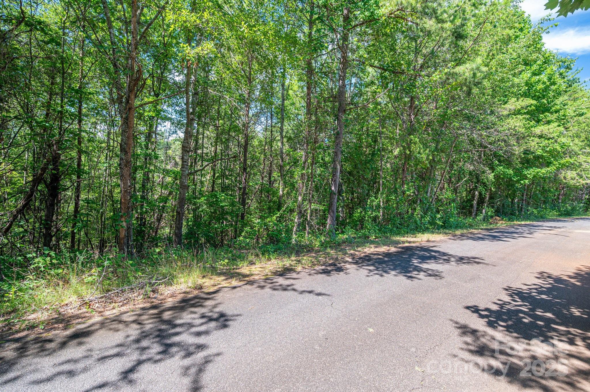 Lot #13 Meadow Crossing Drive Rutherfordton NC 28139