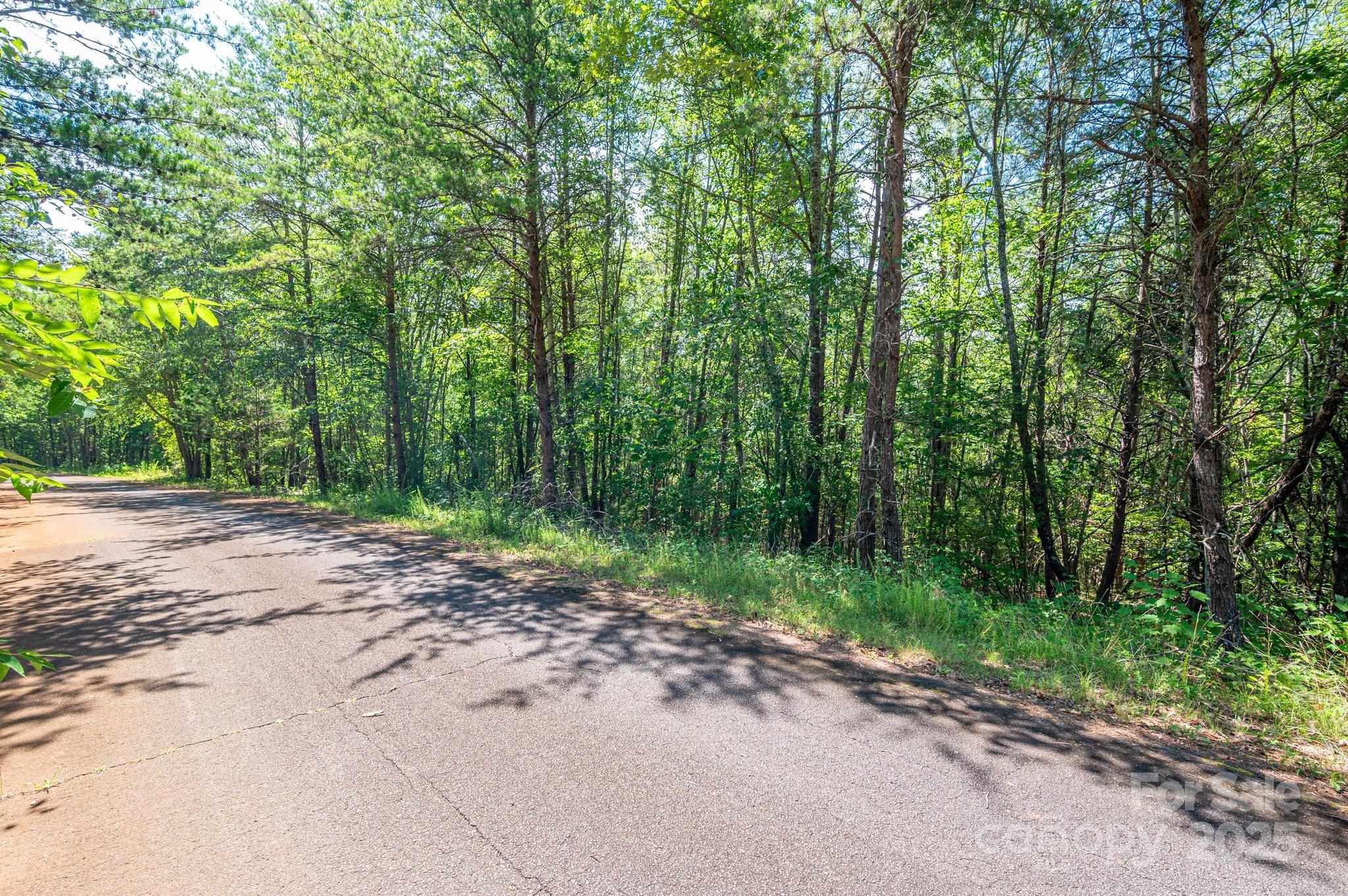 Lot #13 Meadow Crossing Drive Rutherfordton NC 28139