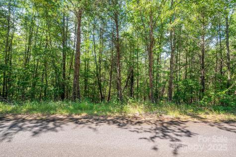 Lot #13 Meadow Crossing Drive Rutherfordton NC 28139