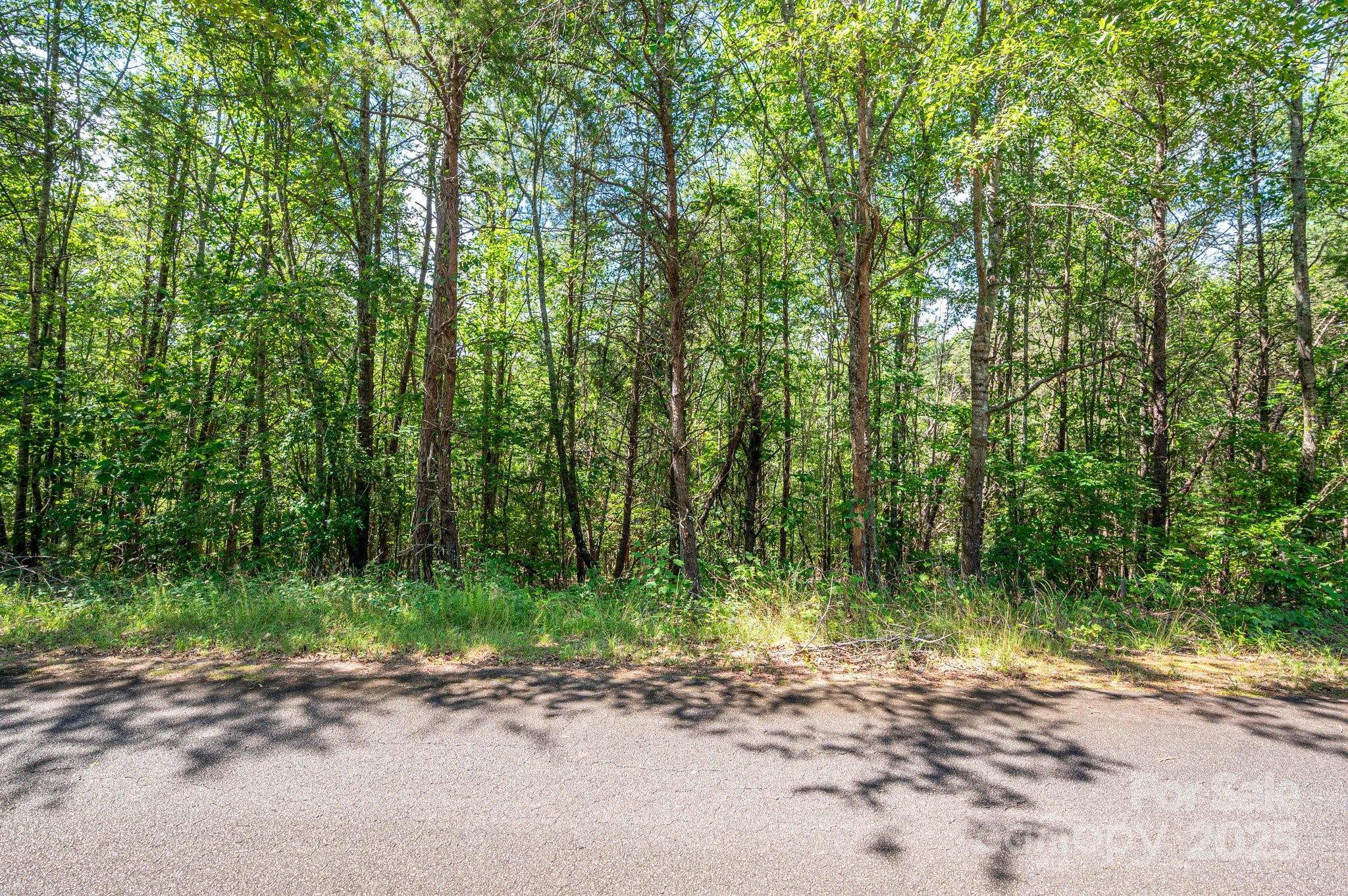 Lot #13 Meadow Crossing Drive Rutherfordton NC 28139