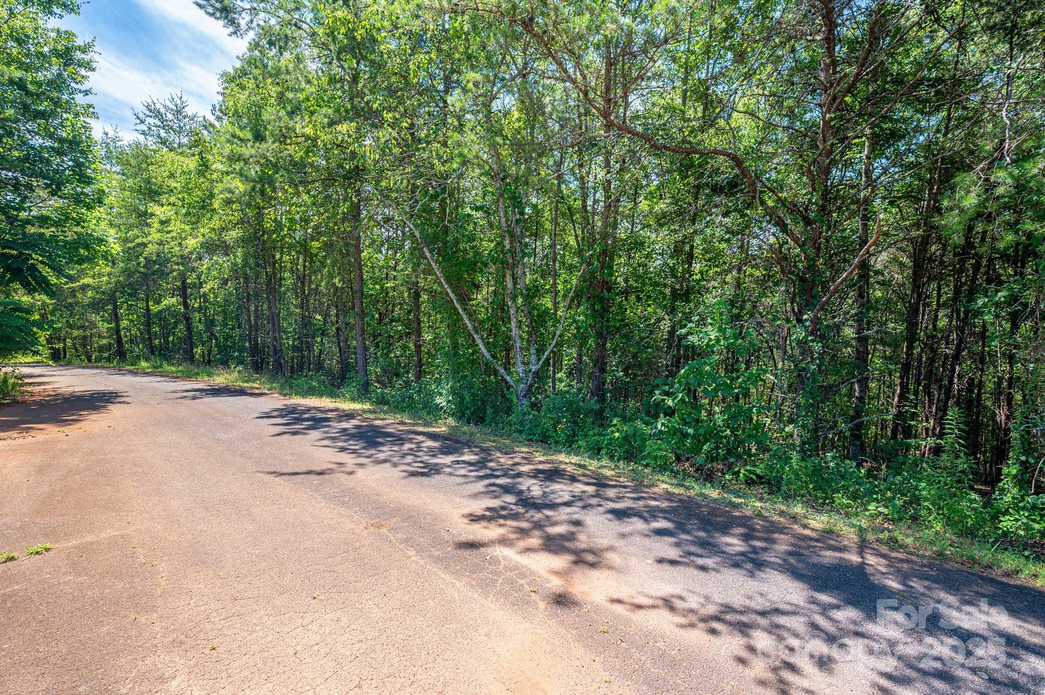 Lot #13 Meadow Crossing Drive Rutherfordton NC 28139