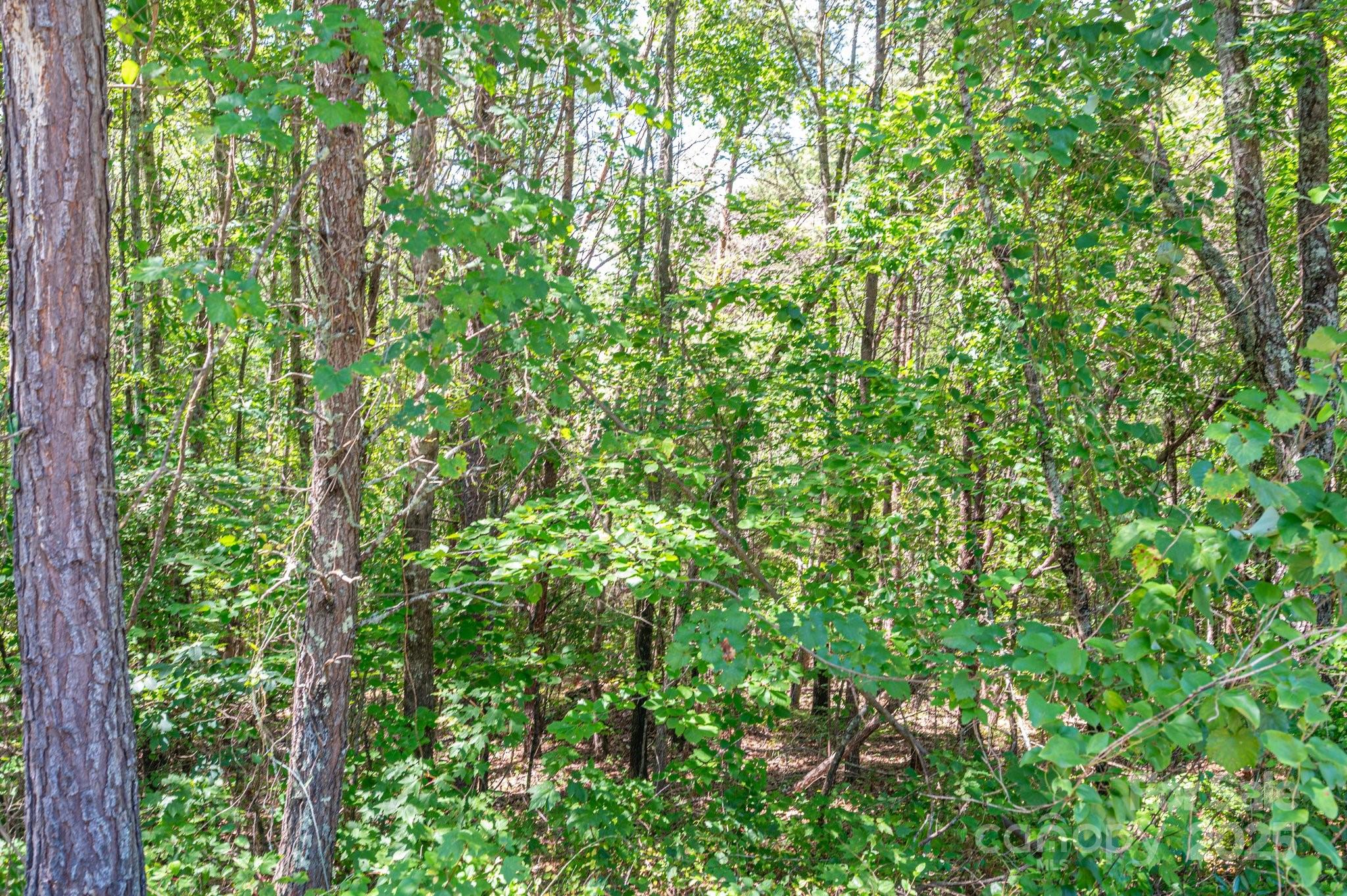 Lot #13 Meadow Crossing Drive Rutherfordton NC 28139