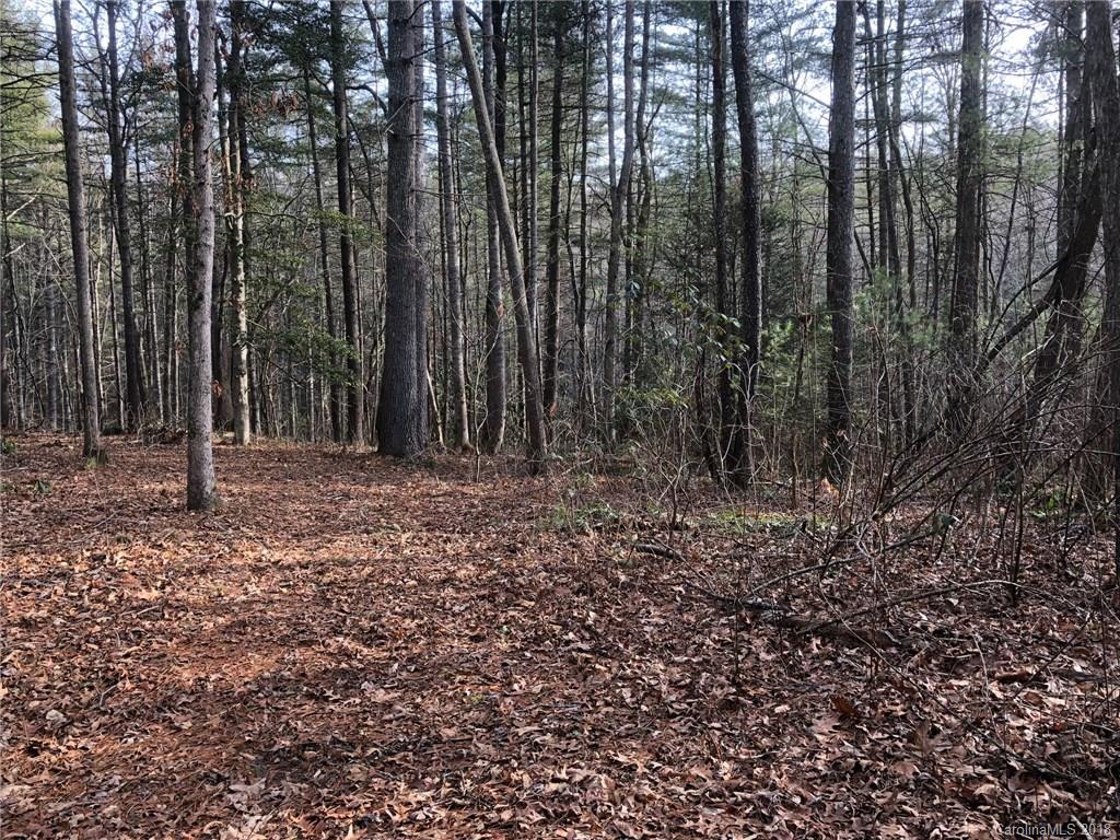 54 Trail Top Drive Asheville NC 28805