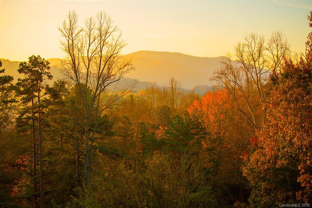 54 Trail Top Drive Asheville NC 28805