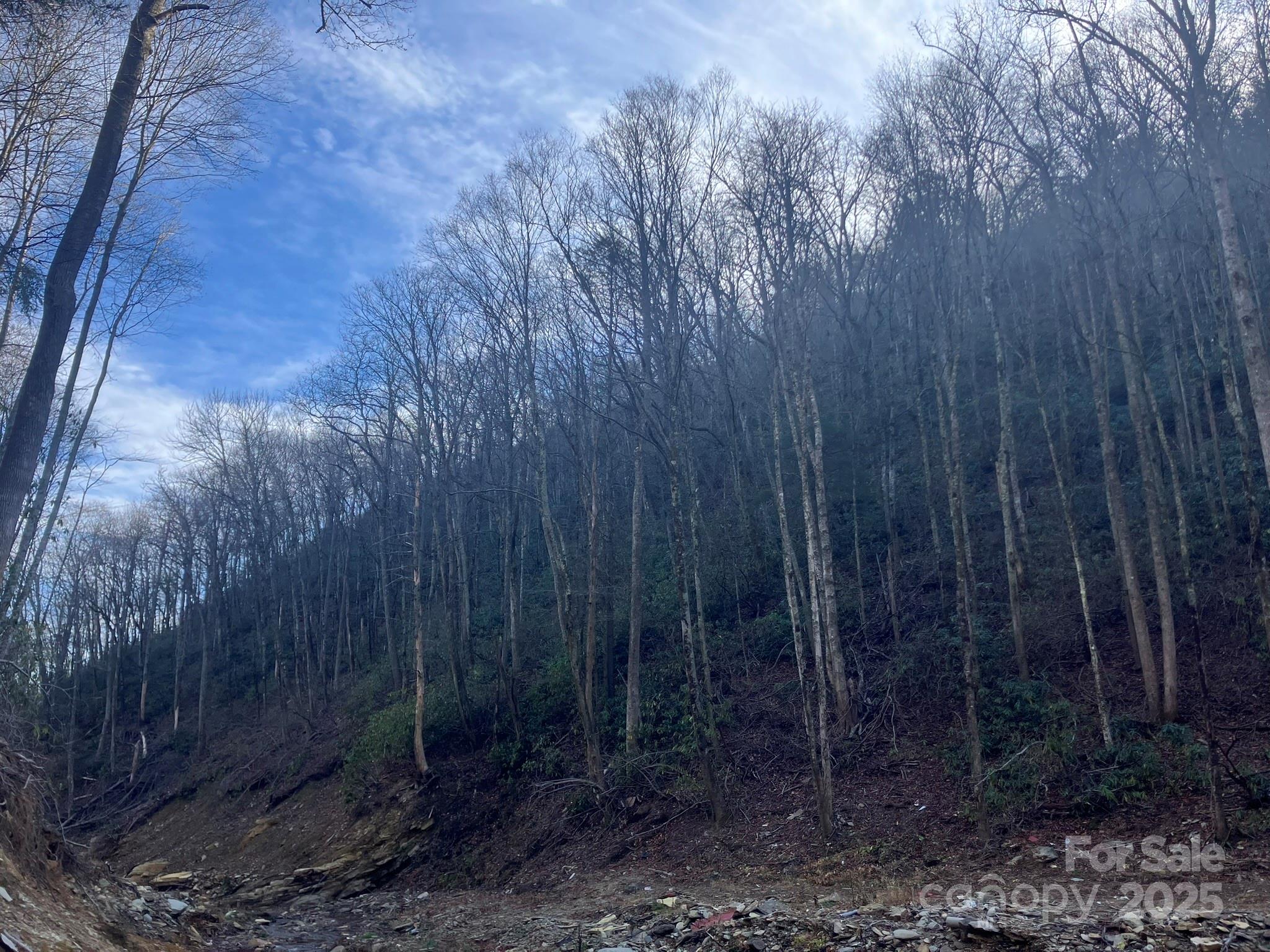 82 Davey Crockett Road Fairview NC 28730