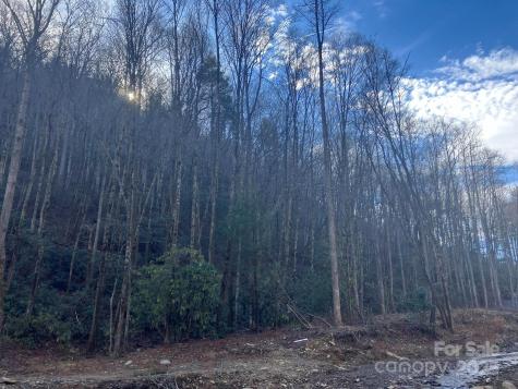 82 Davey Crockett Road Fairview NC 28730