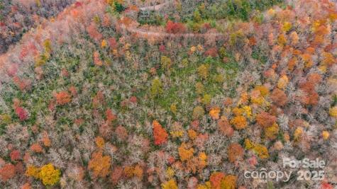 82 Davey Crockett Road Fairview NC 28730