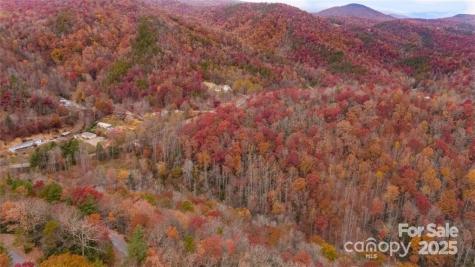 82 Davey Crockett Road Fairview NC 28730