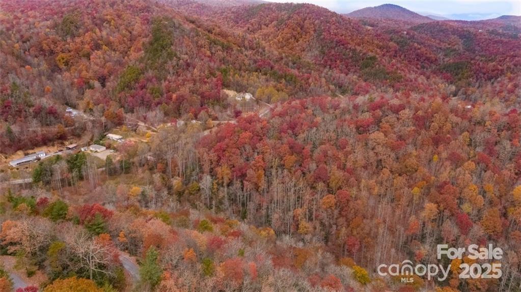 82 Davey Crockett Road Fairview NC 28730