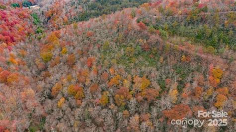 82 Davey Crockett Road Fairview NC 28730