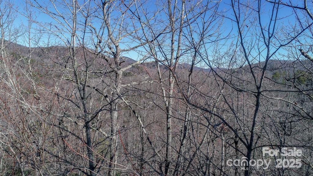 82 Davey Crockett Road Fairview NC 28730
