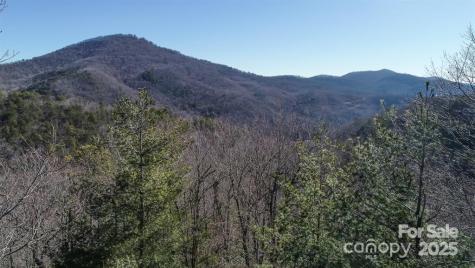 82 Davey Crockett Road Fairview NC 28730