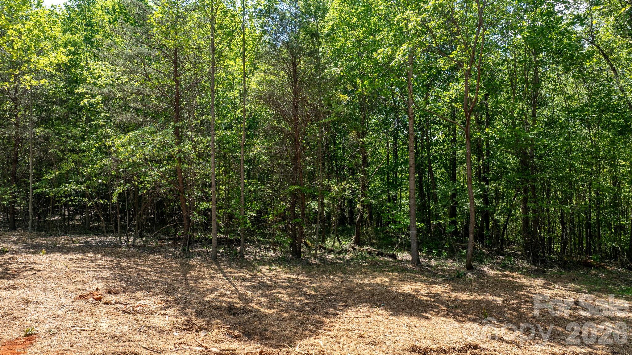 122 Long Leaf Pine Drive Hiddenite NC 28636