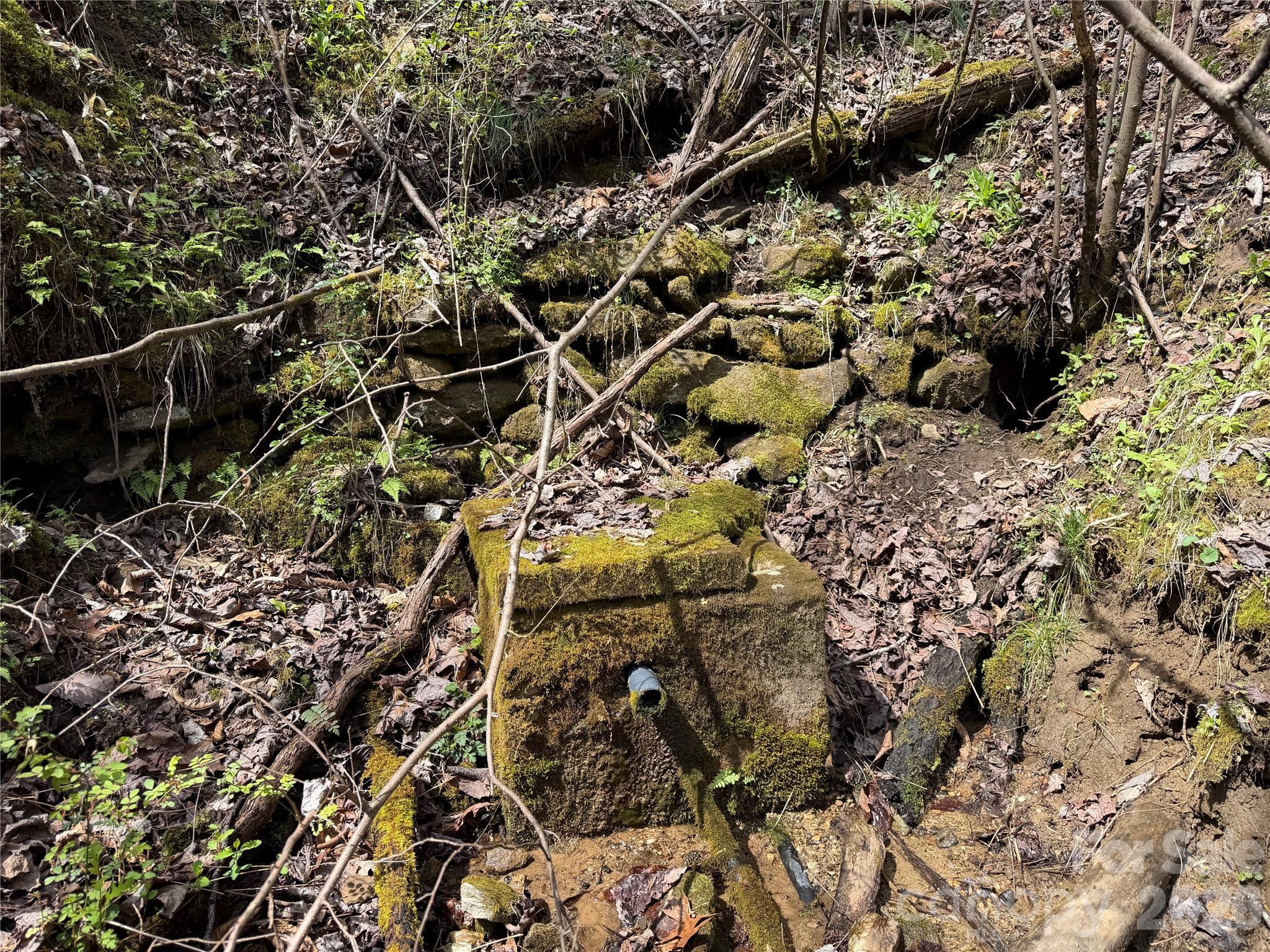 99999 Bumgarner Cemetery Road Whittier NC 28789