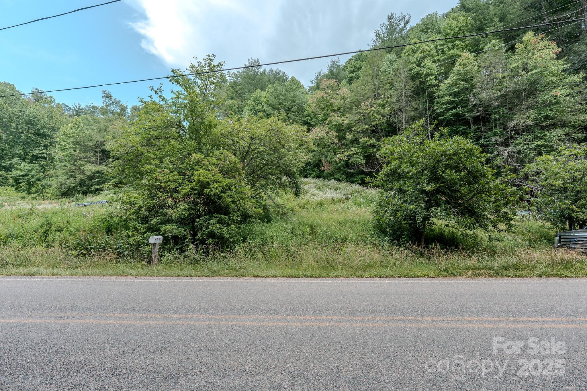 582 Poplar Creek Road Green Mountain NC 28740