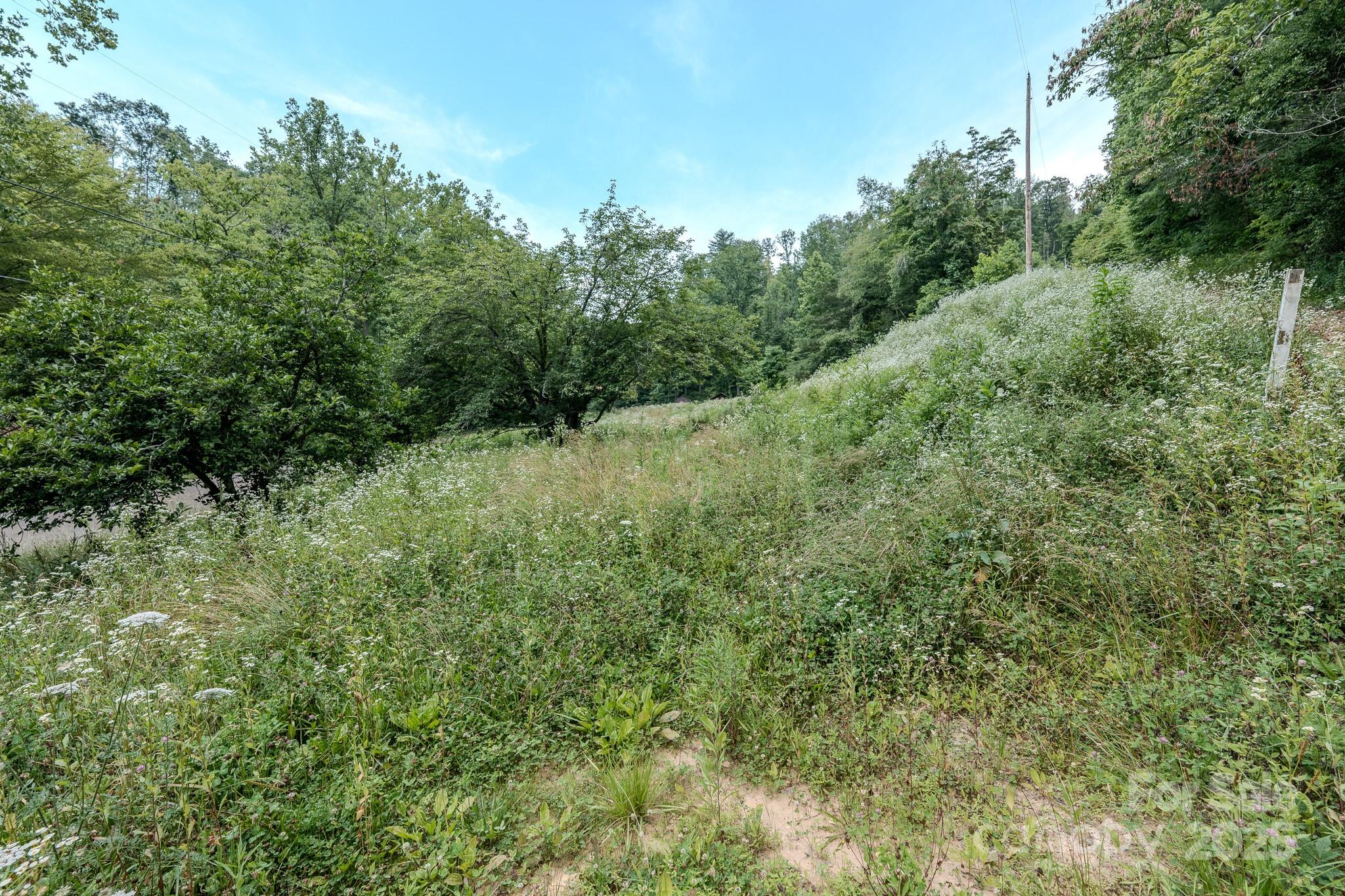 582 Poplar Creek Road Green Mountain NC 28740