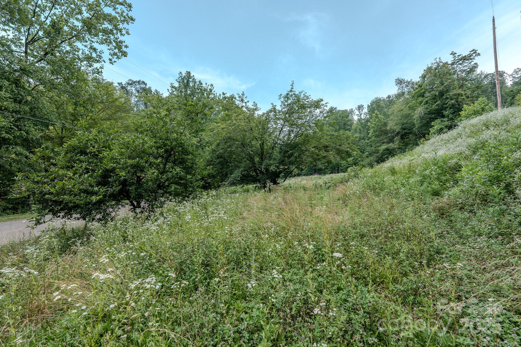 582 Poplar Creek Road Green Mountain NC 28740