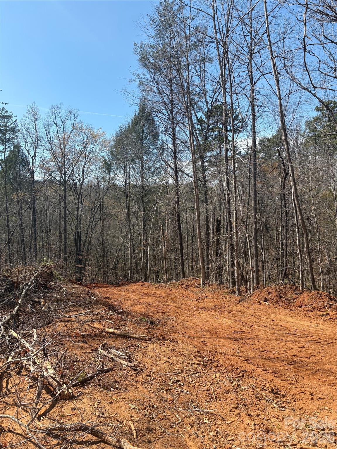 Tbd Avenida De Oro Road Morganton NC 28655